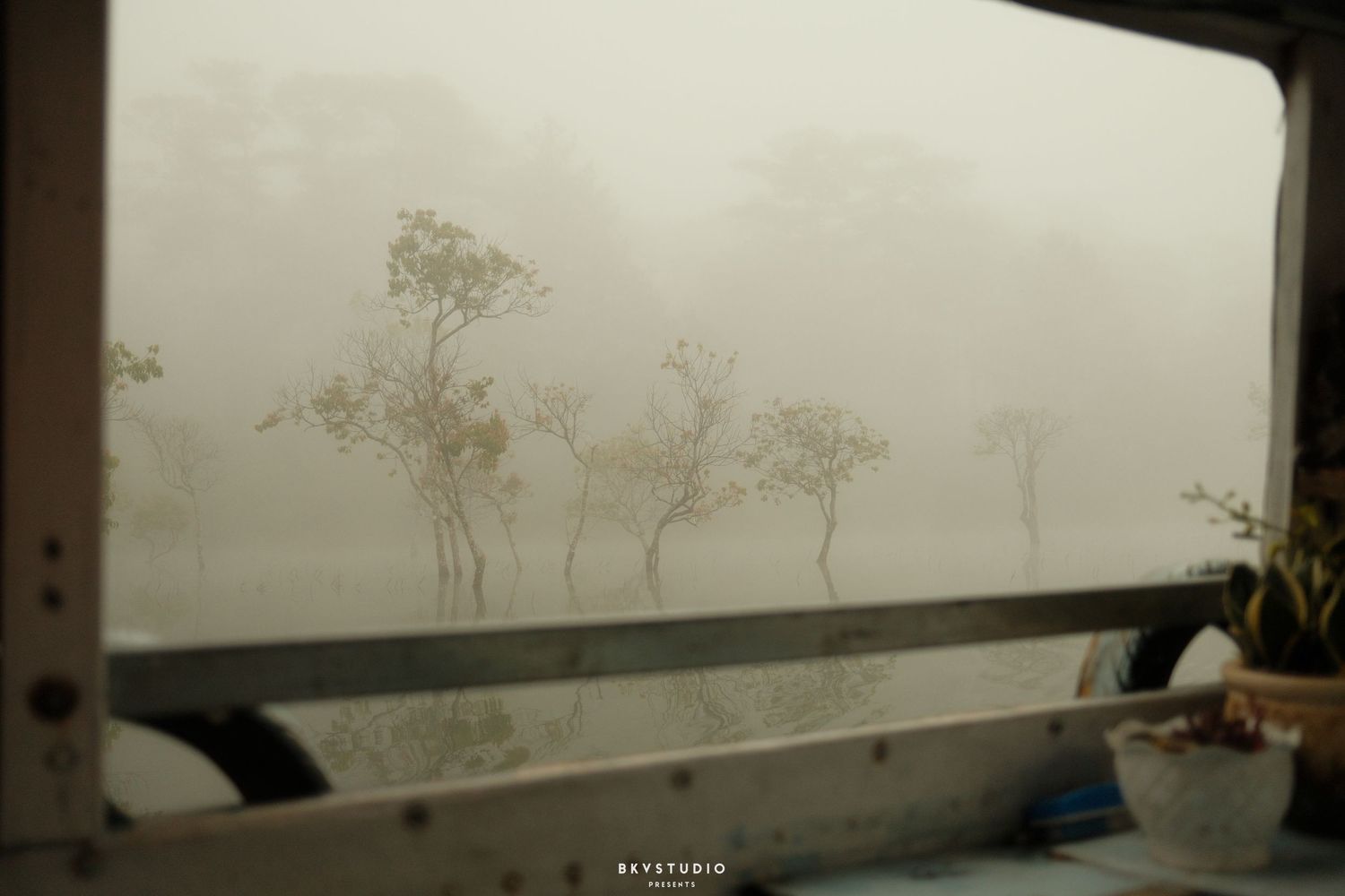 Misty foggy landscape with bare trees viewed through a bus window on a hazy morning.