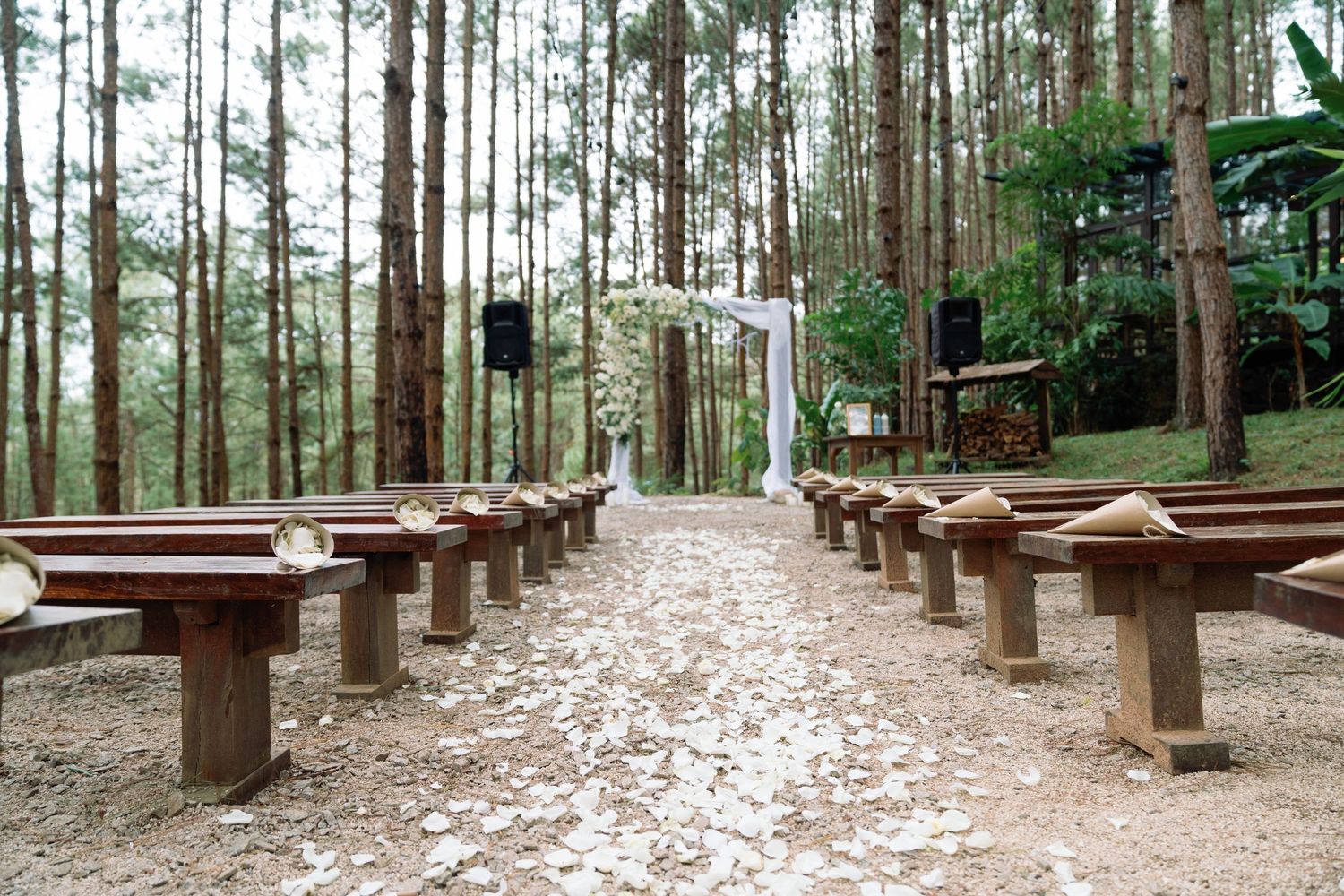 Outdoor forest wedding aisle with wooden benches, petal-lined path, and floral arch among tall pine trees.