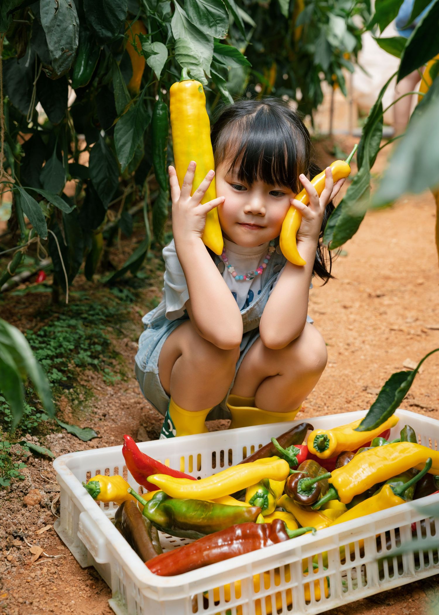 Young girl crouching in garden holding yellow peppers near basket of colorful harvested peppers.