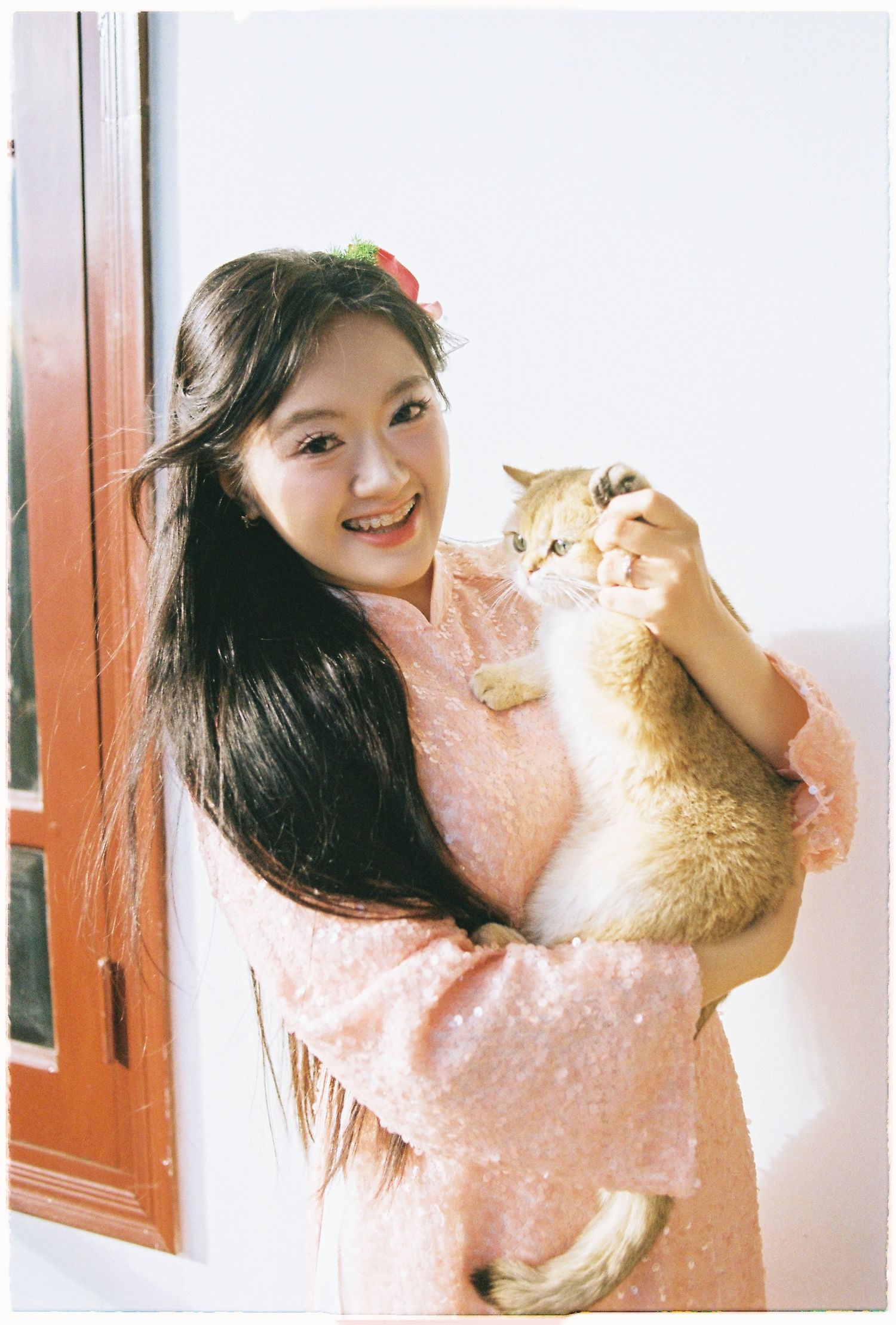 Smiling young Asian woman in pink dress holding an adorable golden British Shorthair kitten near a window.
