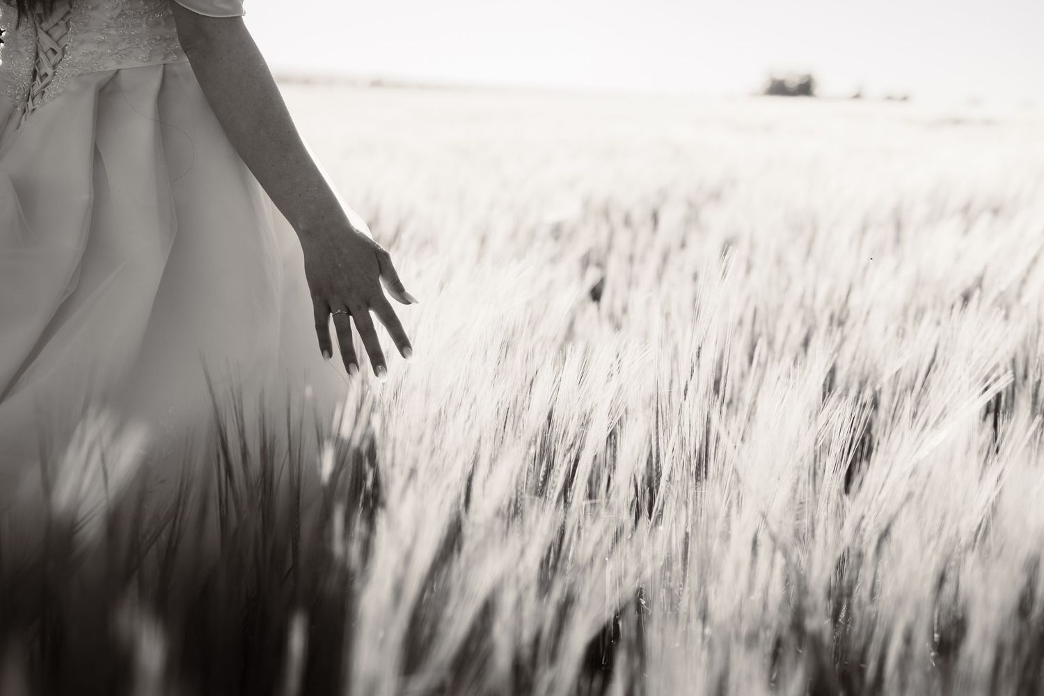 La sposa cammina in un campo di grano sfiorando le spighe con la mano, con la fede visibile.