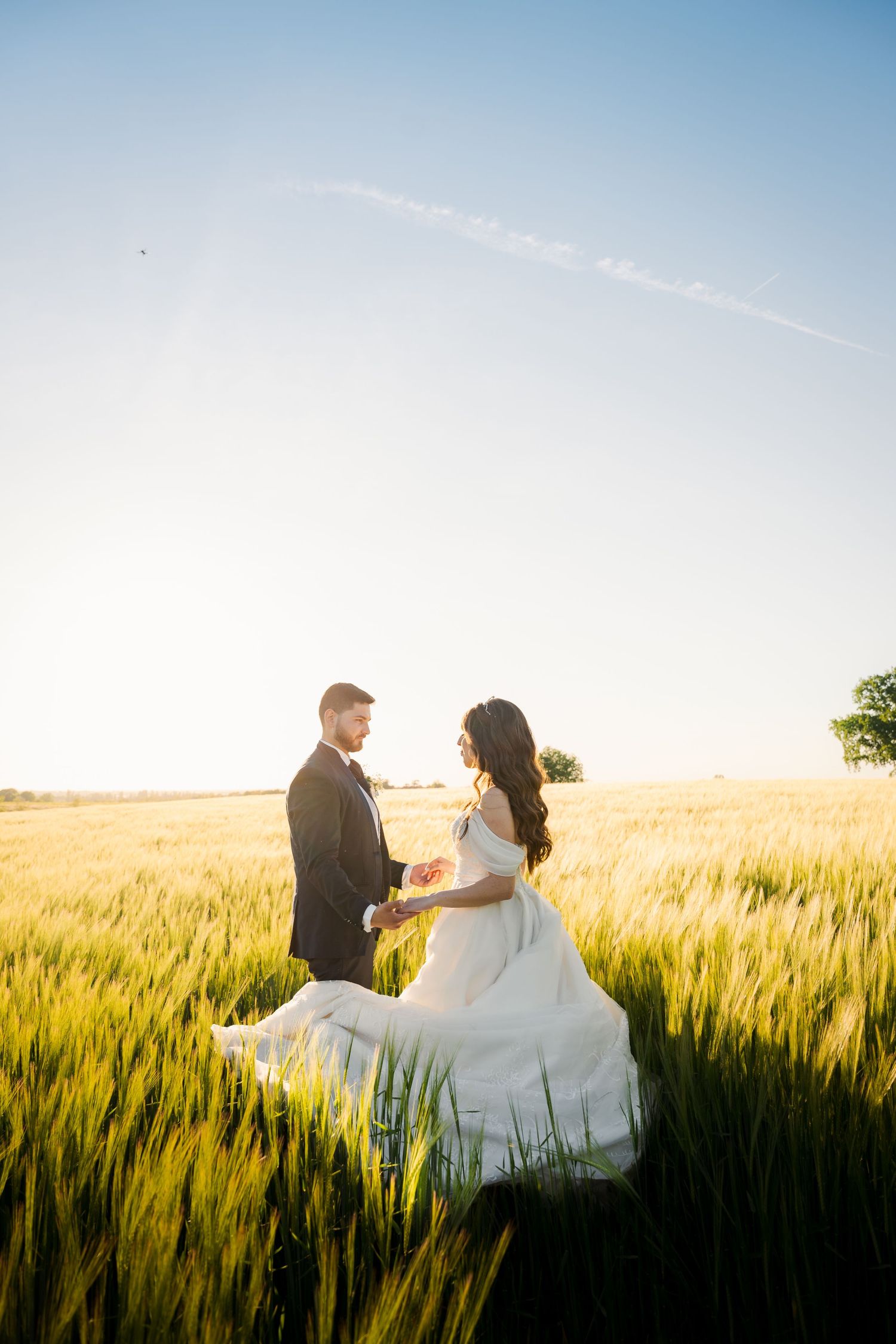 Bride and groom holding hands in a golden wheat field at sunset, wearing wedding attire in a romantic outdoor ceremony.