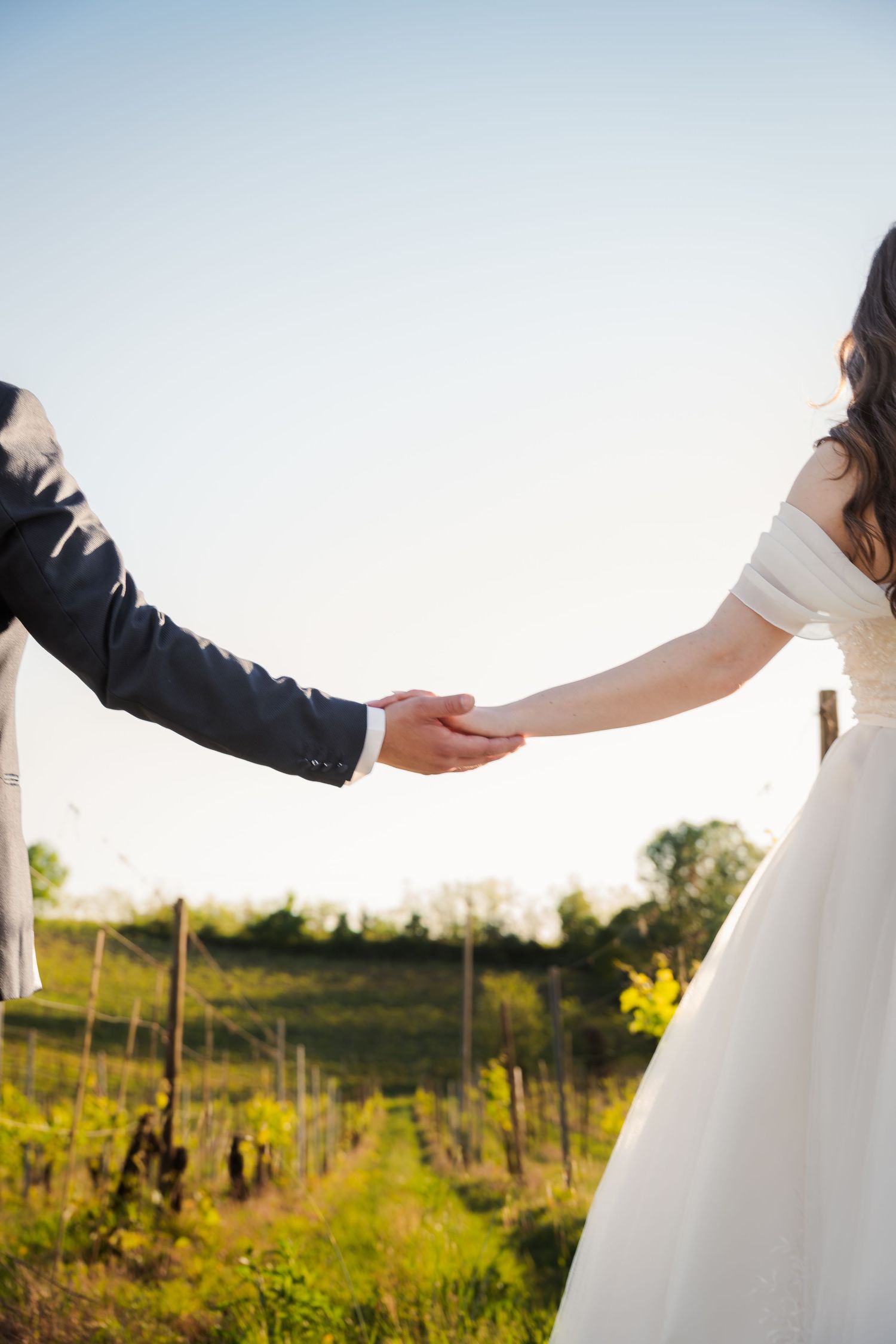 Gli sposi si tengono per mano ta i filari di una vita durante il giorno del matrimonio.