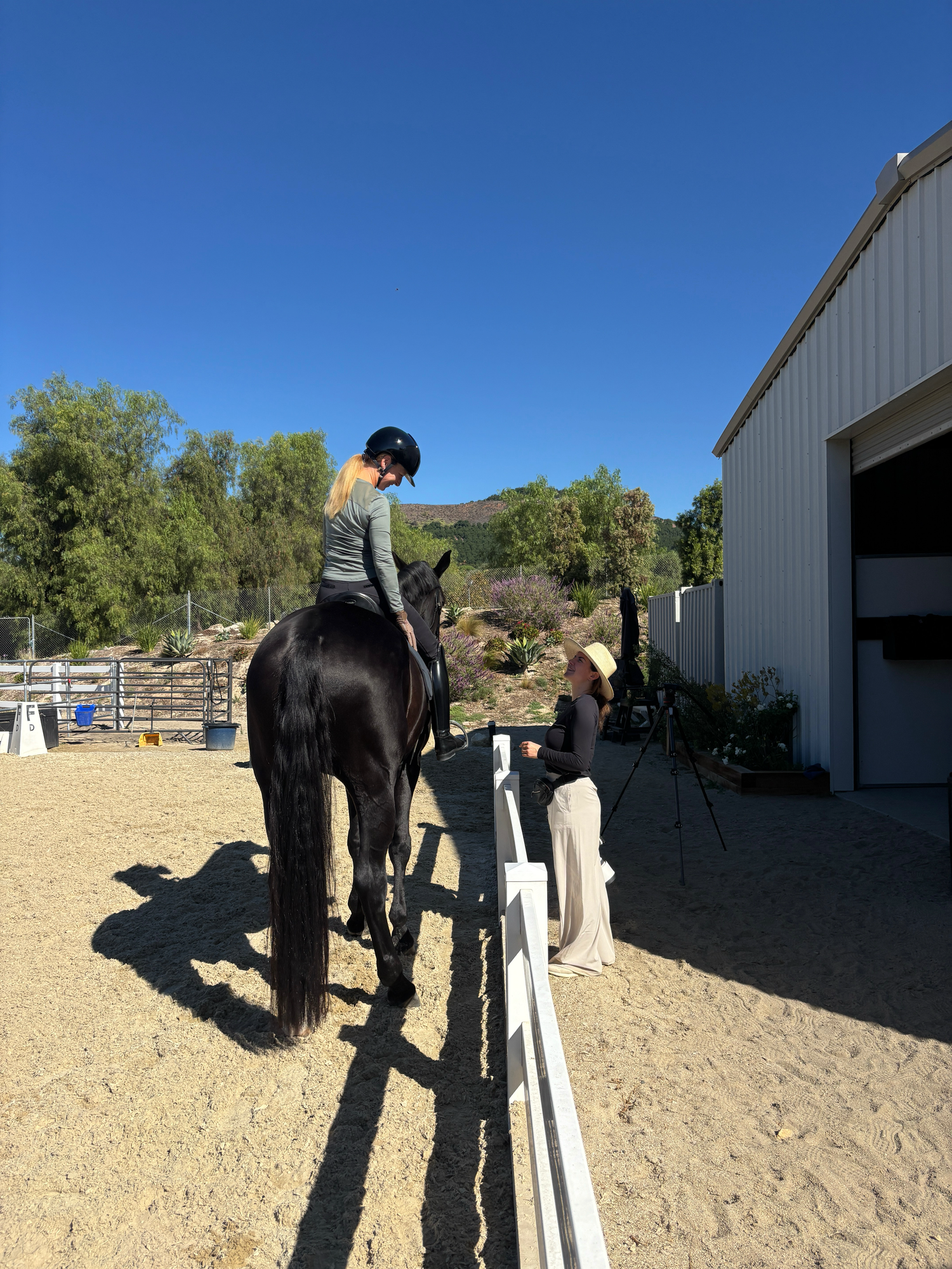 Rider in a helmet on a black horse in a sunny outdoor arena while a woman in a sun hat watches beside a white fence.