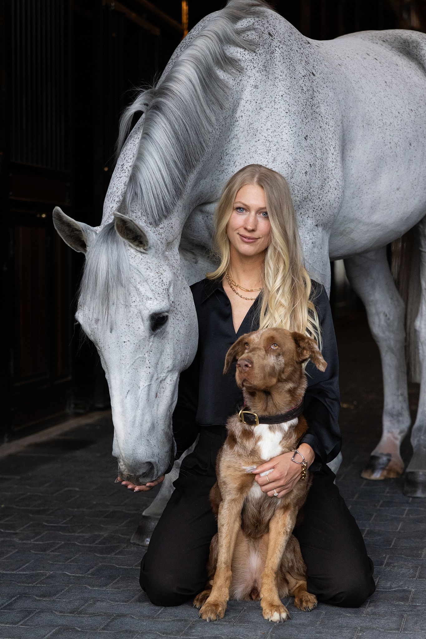 Blonde woman in black kneels in a stable beside a gray dapple horse lowering its head and a brown and white dog wearing a collar.