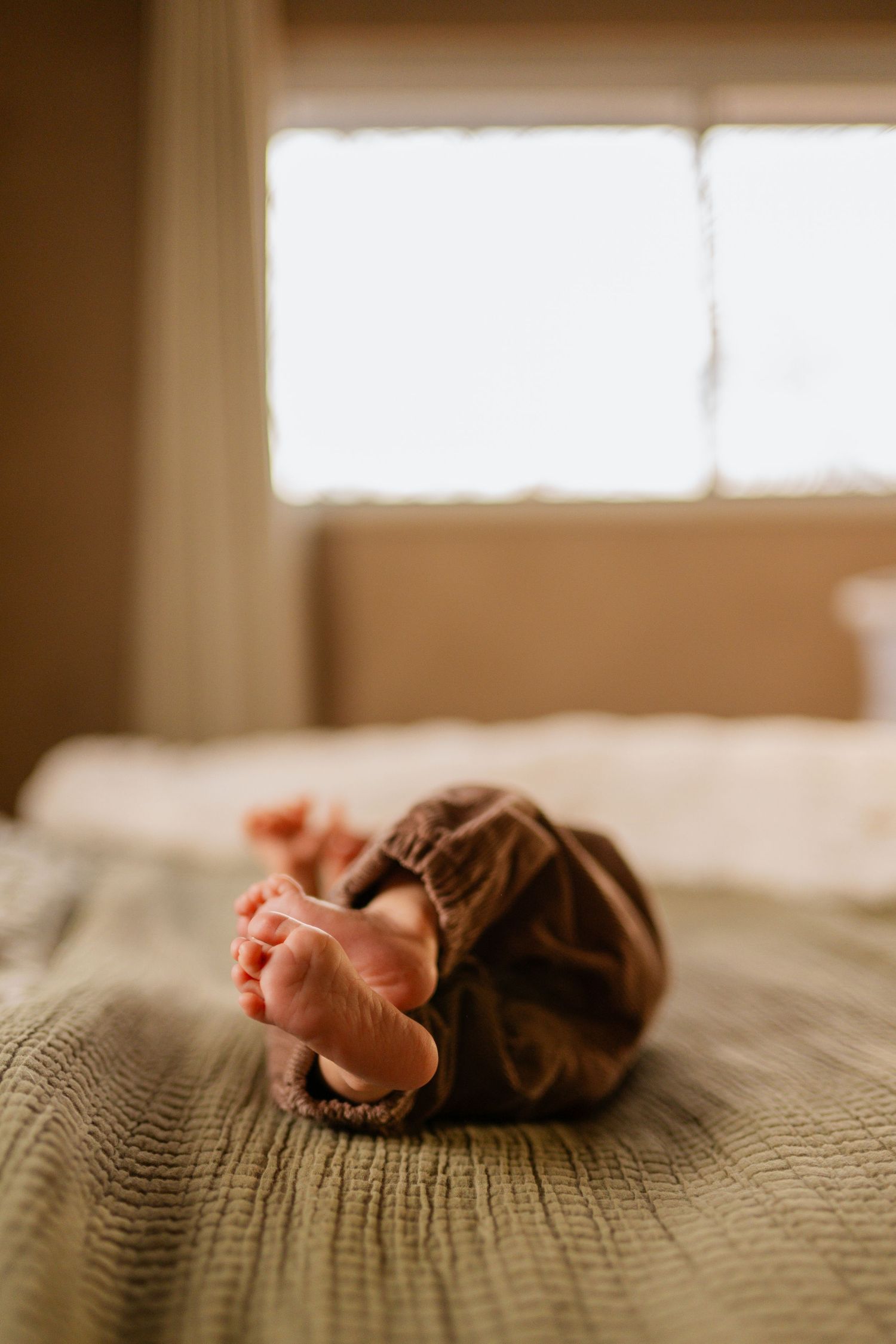 Close-up view of tiny newborn baby feet resting on textured beige blanket in warm natural window light.