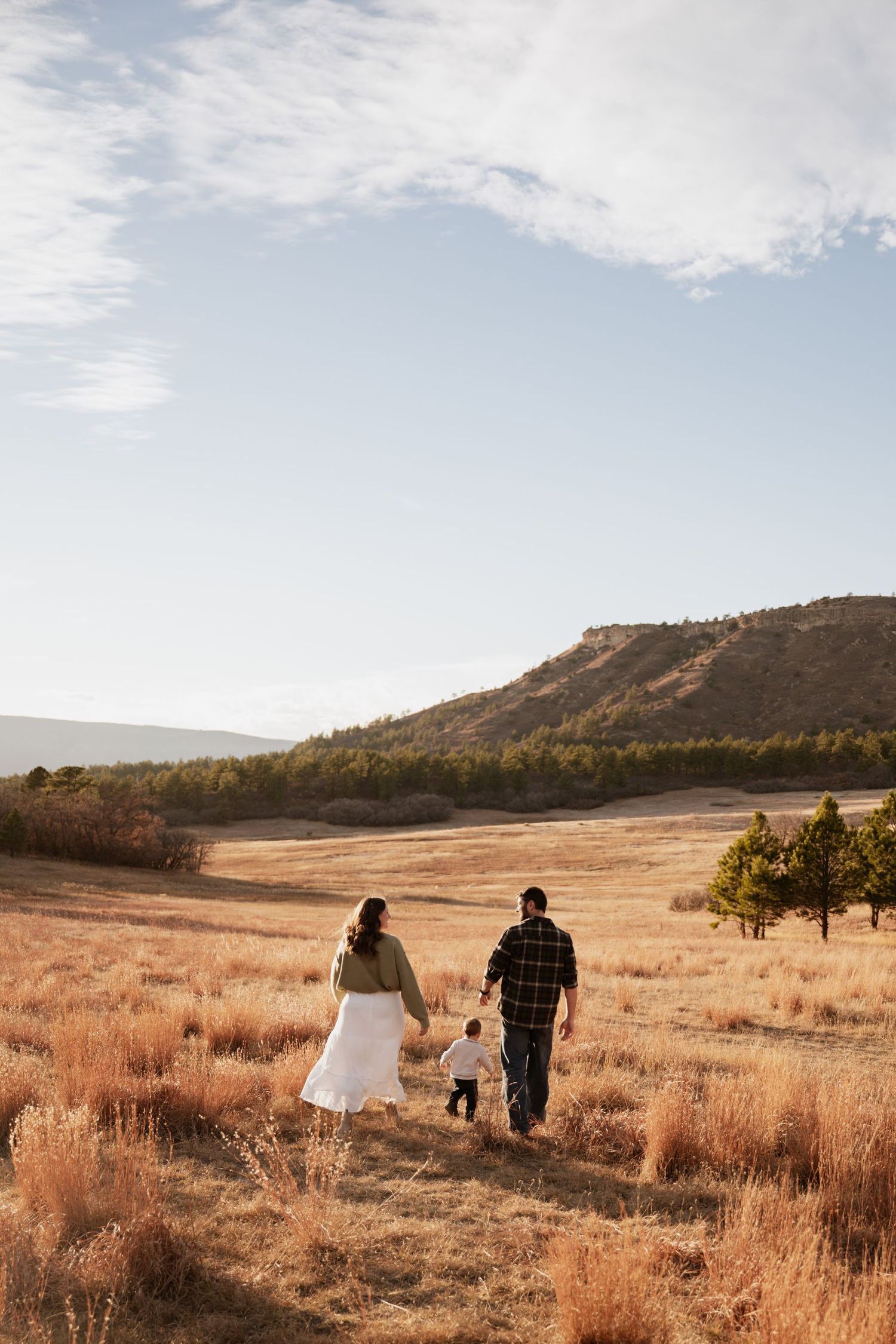 Couple walking through golden prairie grassland at sunset with mountains and trees in the background.