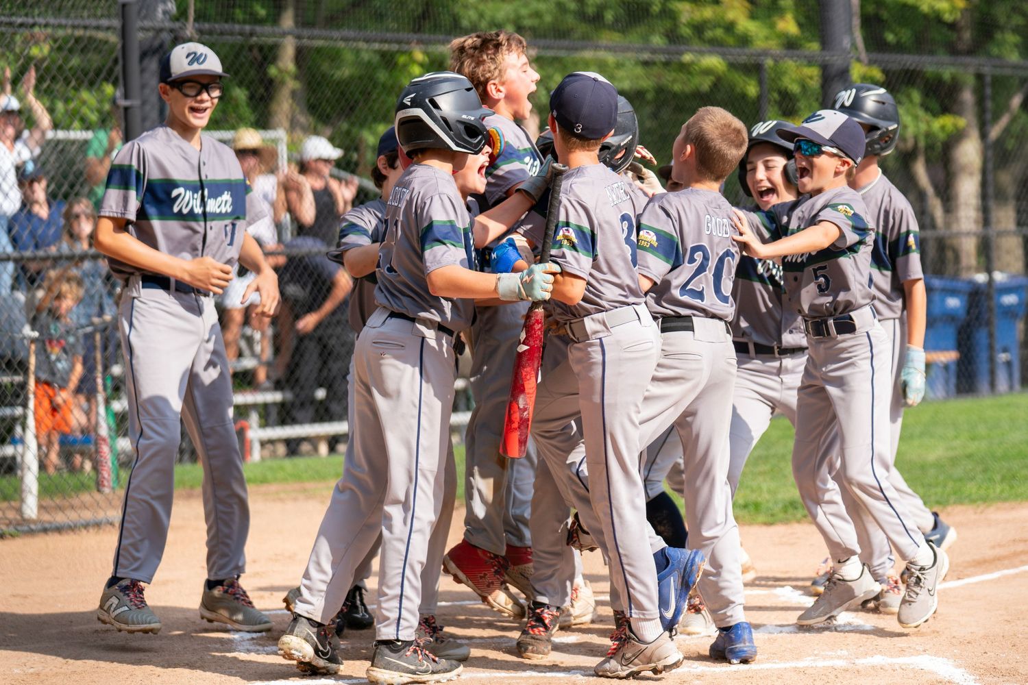 Youth baseball sports action photography - team celebration