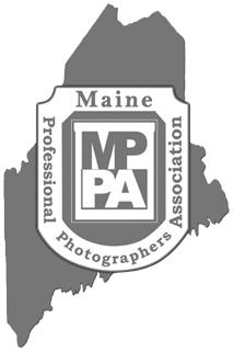 A row of grayscale US state map silhouettes with postal abbreviations and individual state names.