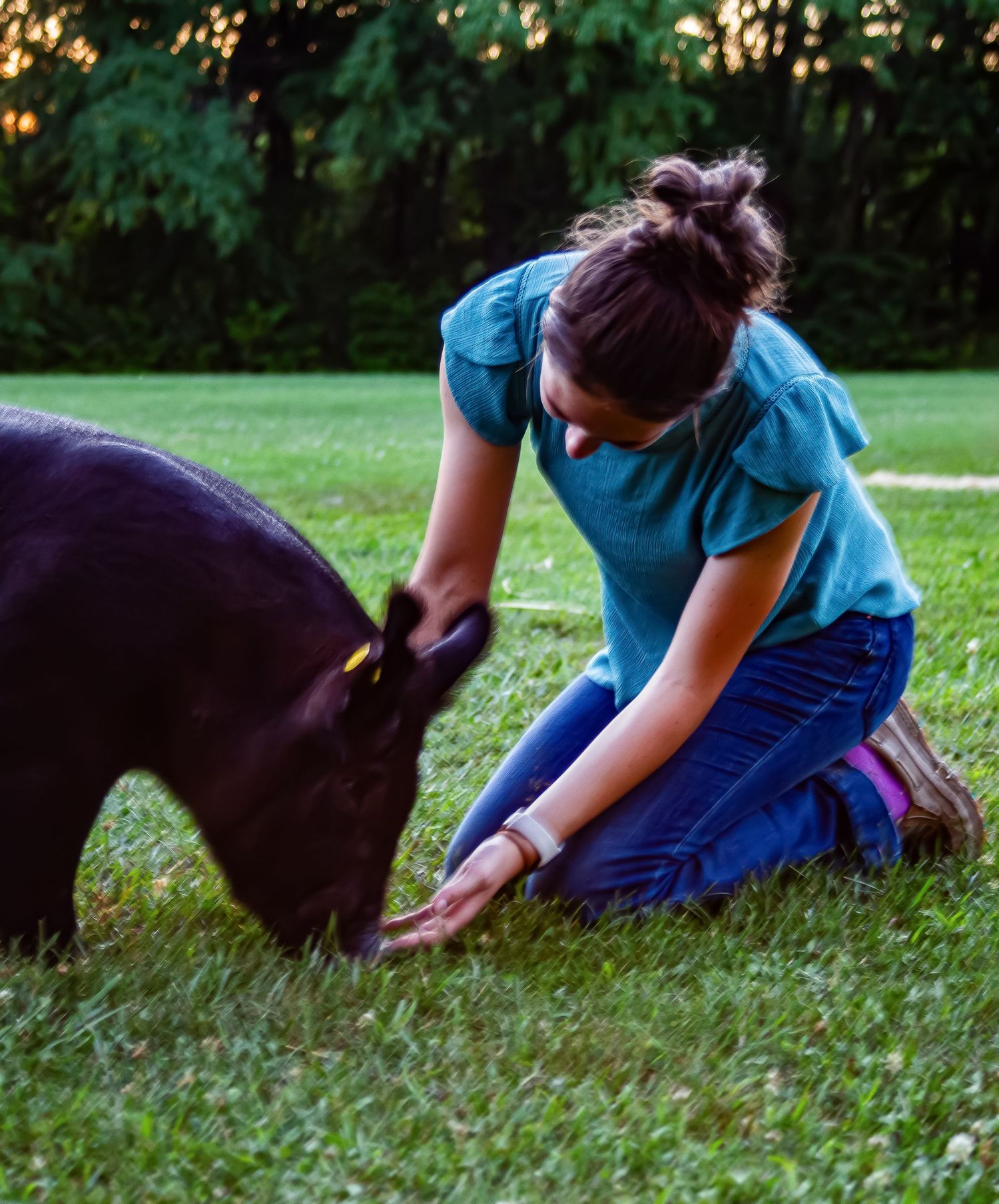 Morgan Akey, Busy Lenses, Missouri Livestock photographer, Kansas City Photographer, Western Photographer, Pet Photographer, Parkville MO