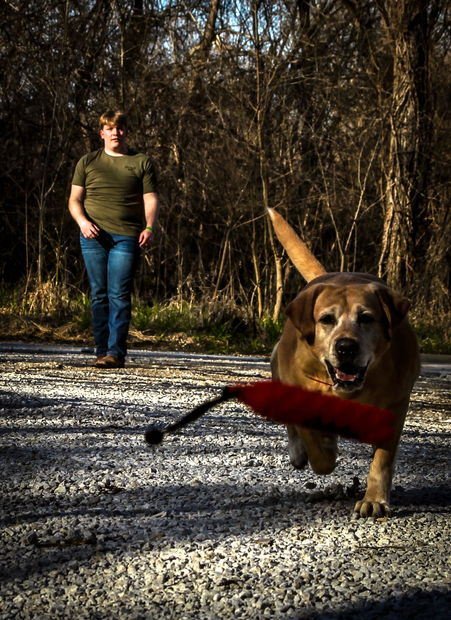 Morgan Akey, Busy Lenses, Missouri Livestock photographer, Kansas City Photographer, Western Photographer, Pet Photographer, Parkville MO