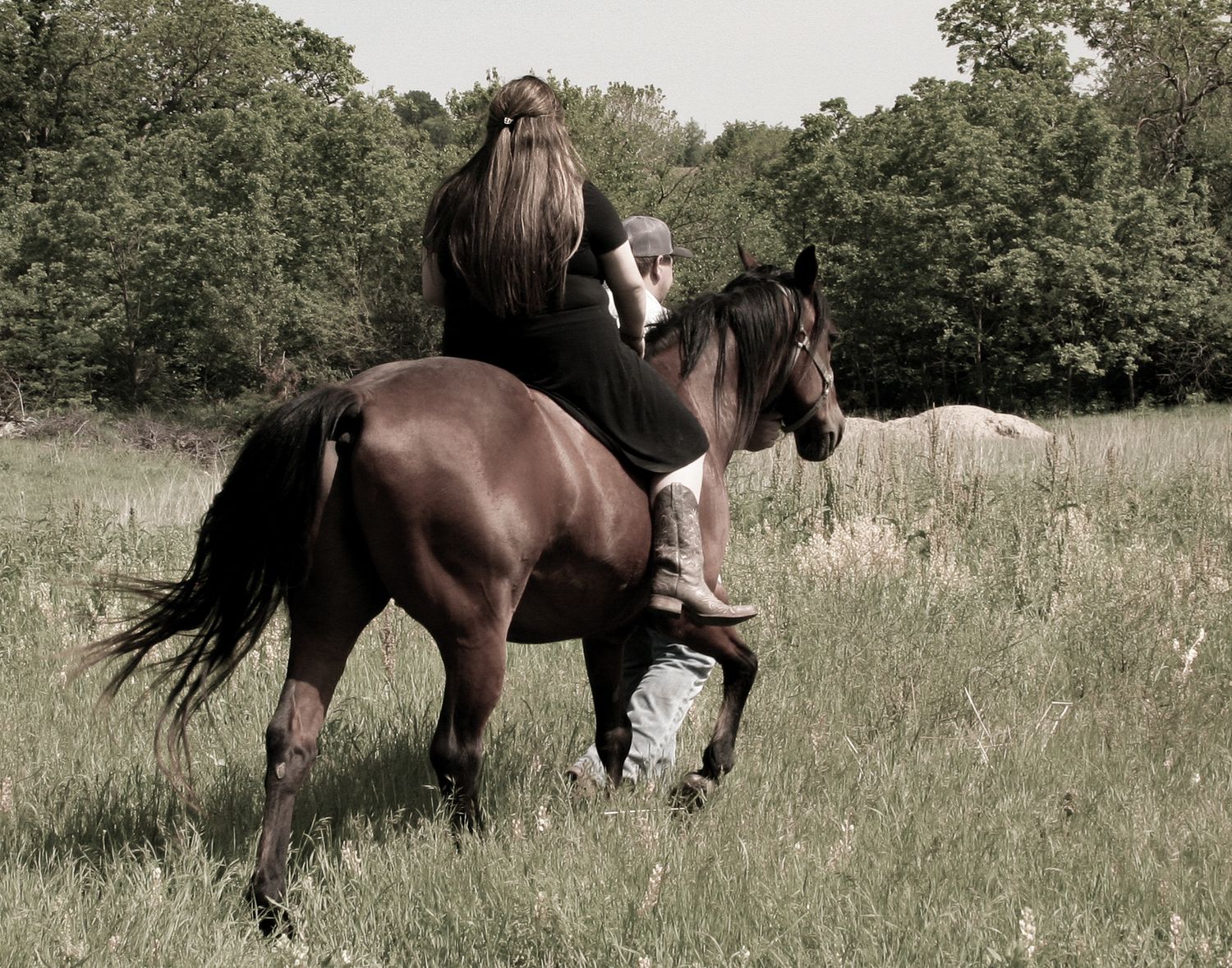 Morgan Akey, Busy Lenses, Missouri Livestock photographer, Kansas City Photographer, Western Photographer, Pet Photographer, Parkville MO