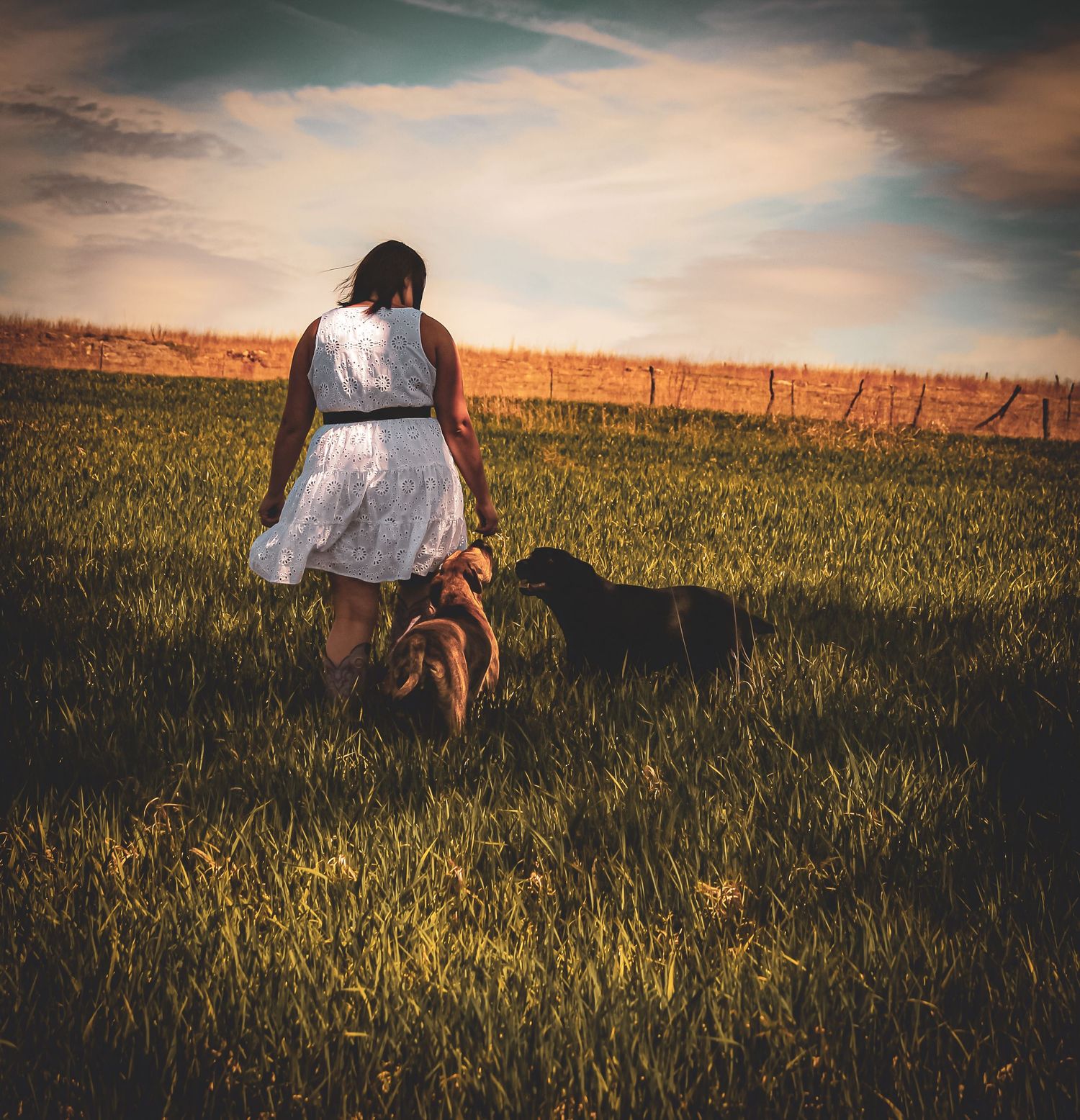 Morgan Akey, Busy Lenses, Missouri Livestock photographer, Kansas City Photographer, Western Photographer, Pet Photographer, Parkville MO