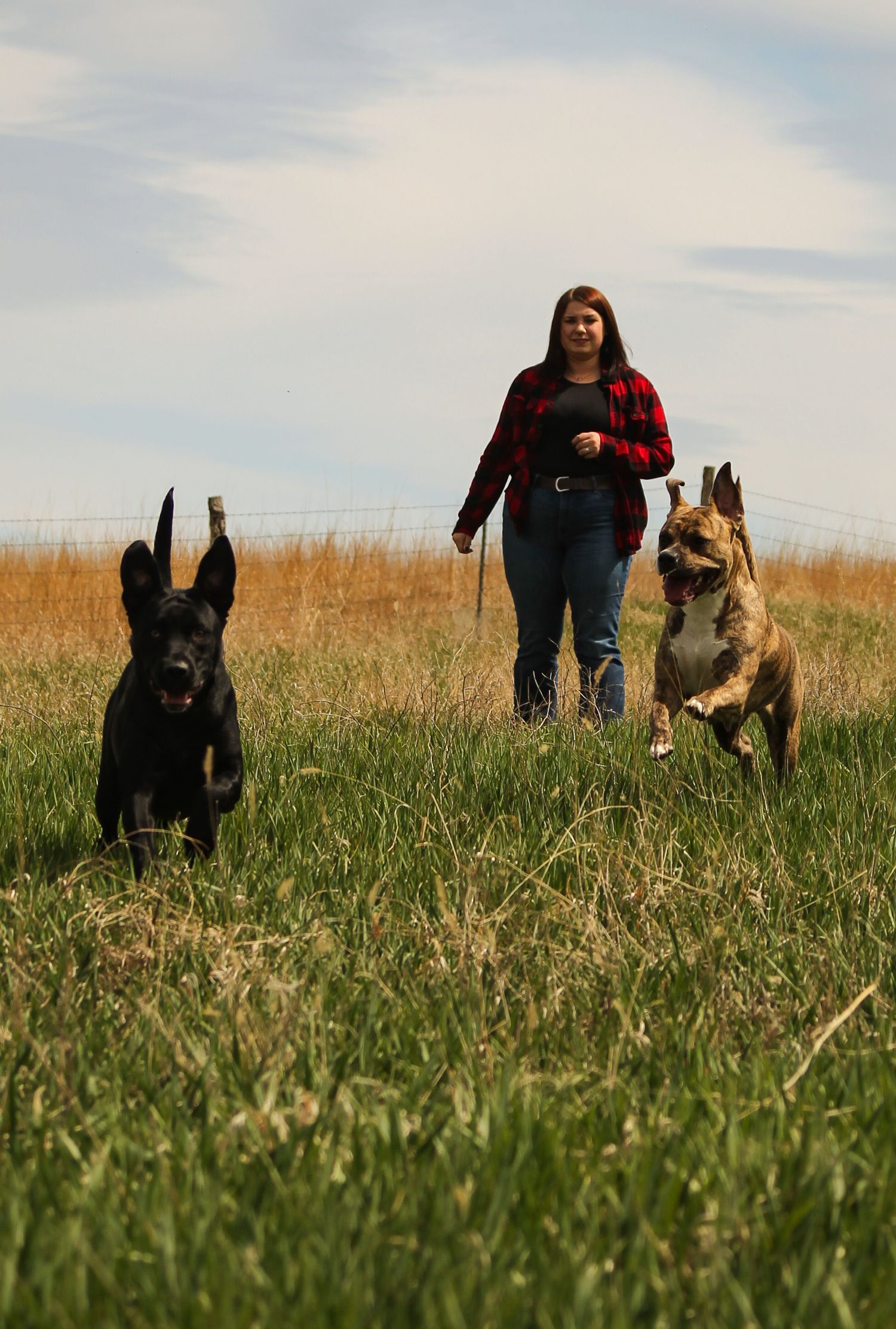 Morgan Akey, Busy Lenses, Missouri Livestock photographer, Kansas City Photographer, Western Photographer, Pet Photographer, Parkville MO