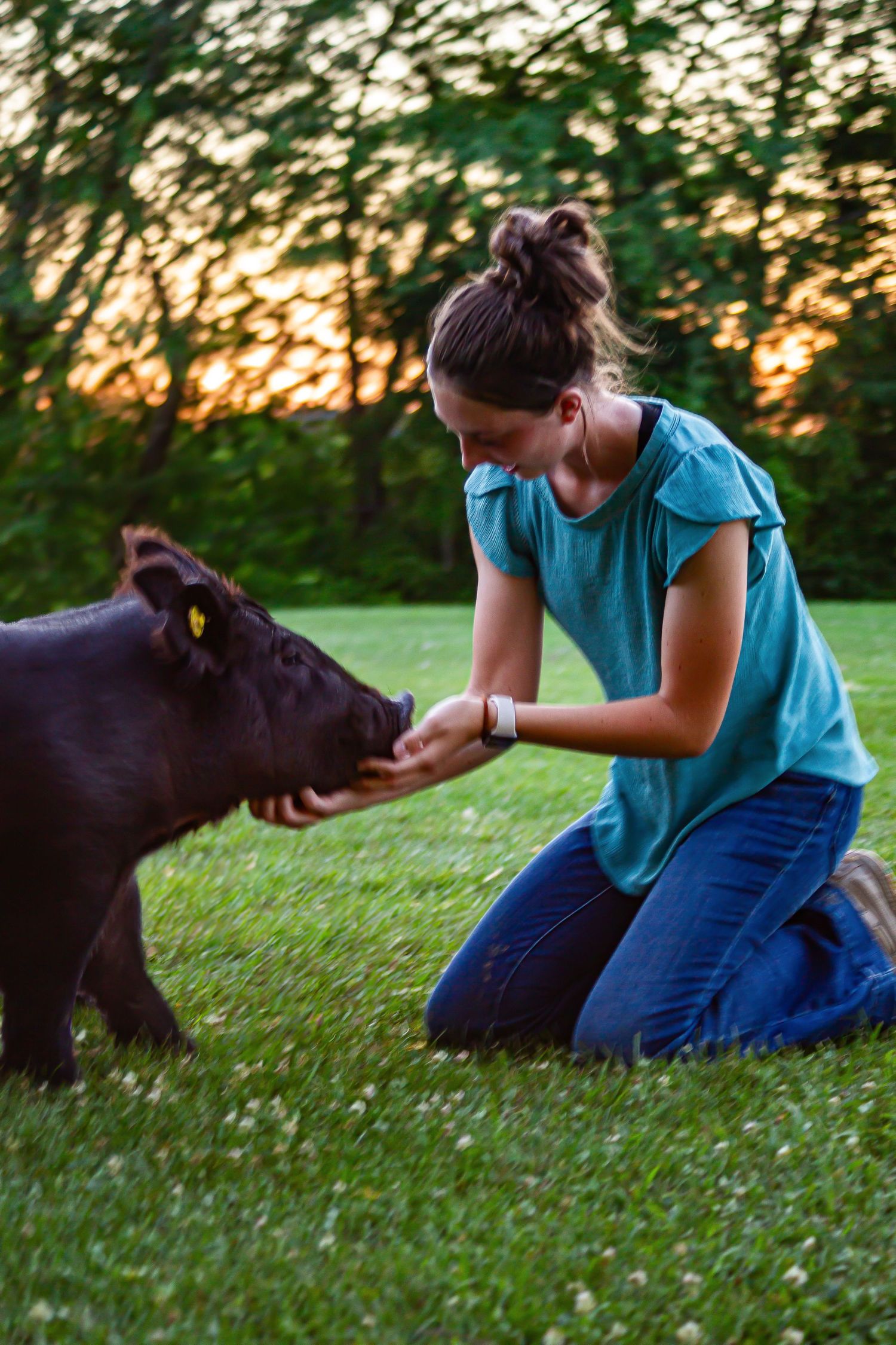 Morgan Akey, Busy Lenses, Missouri Livestock photographer, Kansas City Photographer, Western Photographer, Pet Photographer, Parkville MO