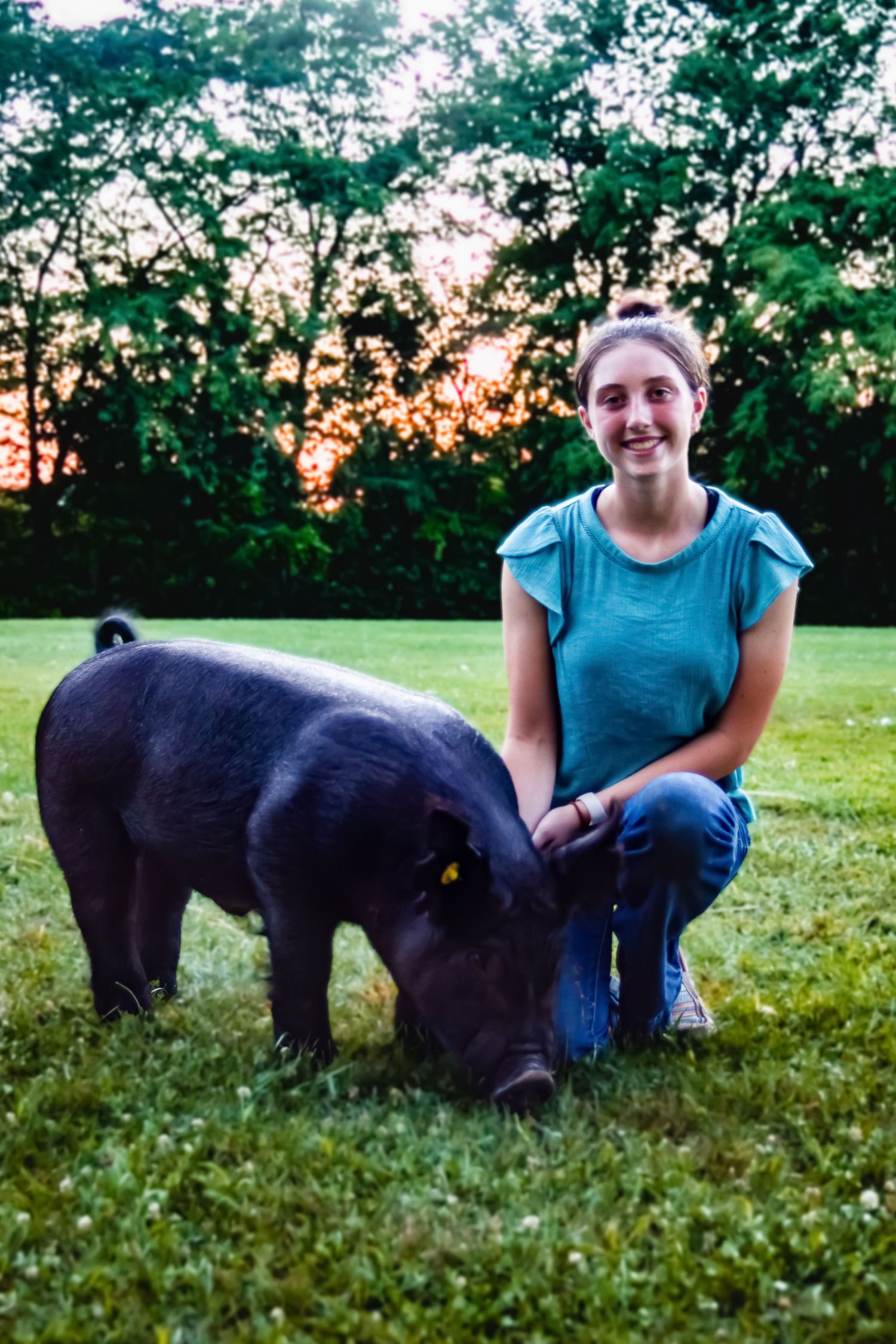 Morgan Akey, Busy Lenses, Missouri Livestock photographer, Kansas City Photographer, Western Photographer, Pet Photographer, Parkville MO