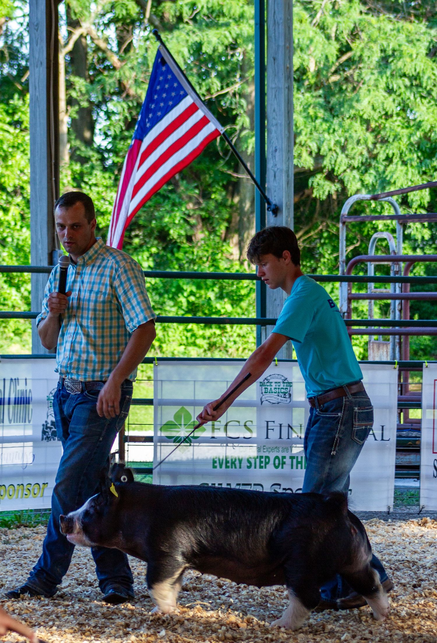Eagleville Missouri, Back to the basics livestock show, swine show, pig show, junior show, livestock show, livestock photography, 4-H, FFA