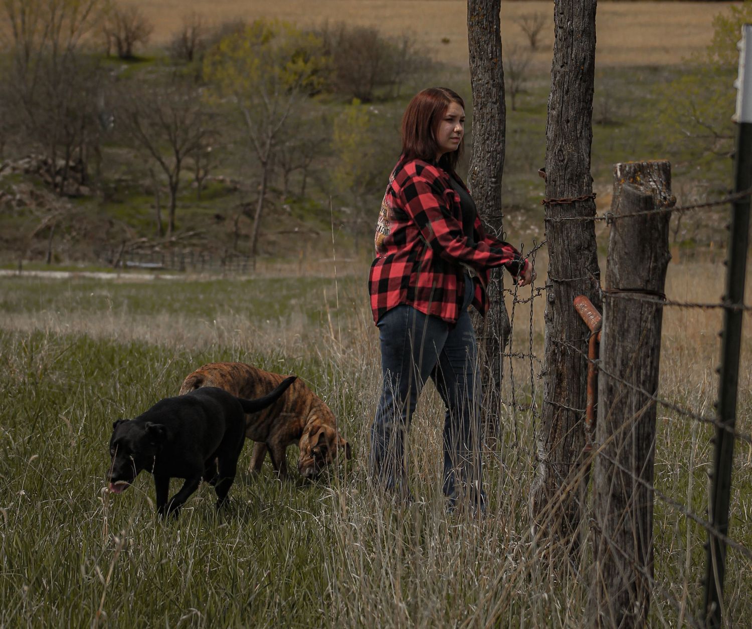 Morgan Akey, Busy Lenses, Missouri Livestock photographer, Kansas City Photographer, Western Photographer, Pet Photographer, Parkville MO