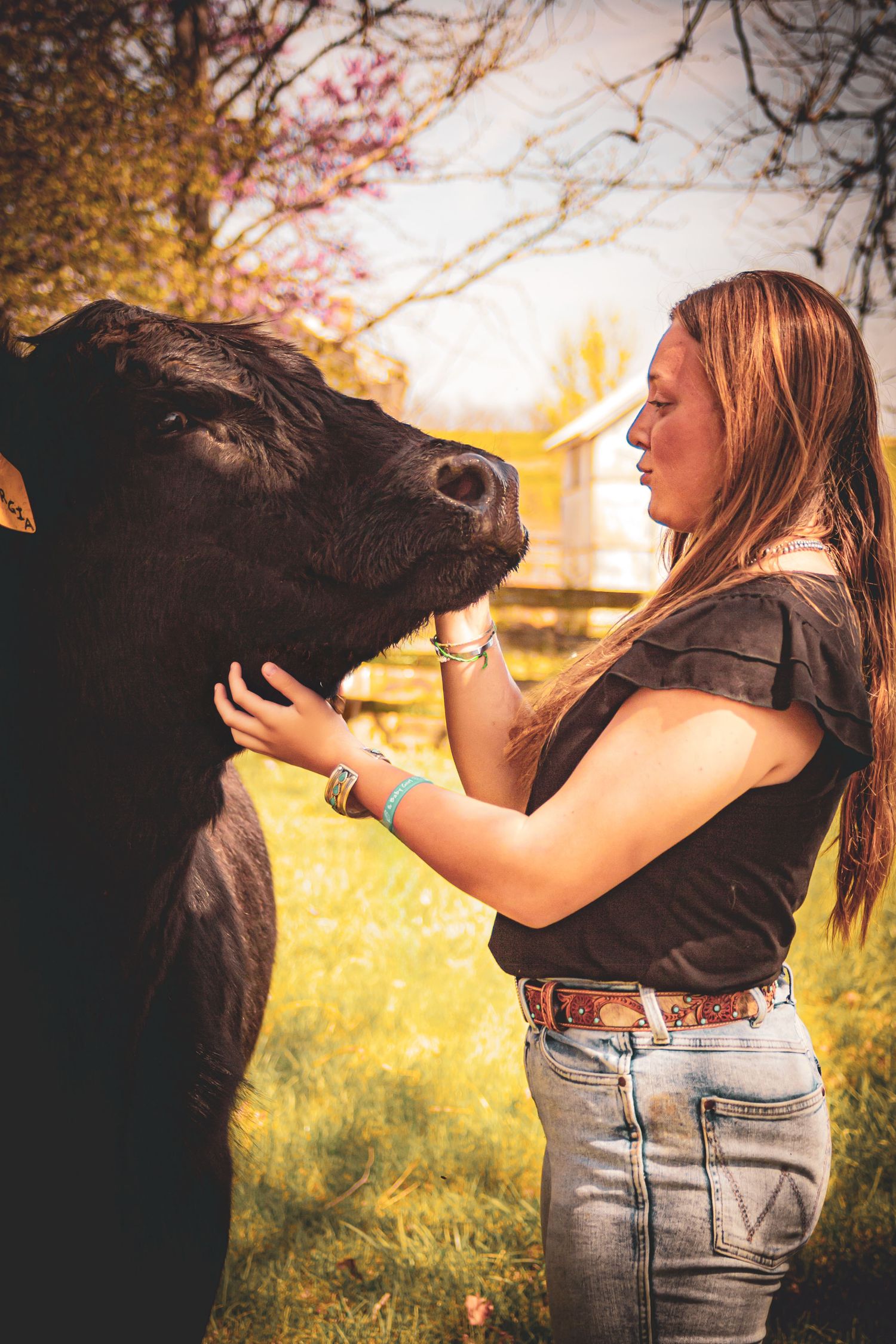 Morgan Akey, Busy Lenses, Missouri Livestock photographer, Kansas City Photographer, Western Photographer, Pet Photographer, Parkville MO