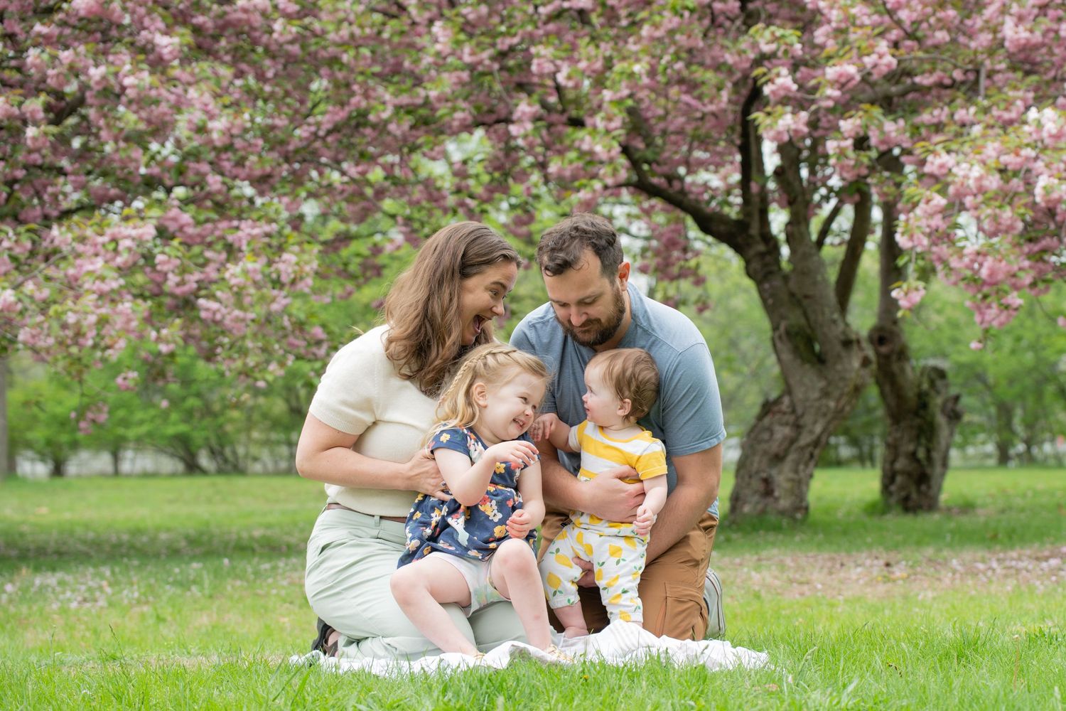 A family sits on a picnic blanket under blooming cherry blossom trees in a spring park setting.