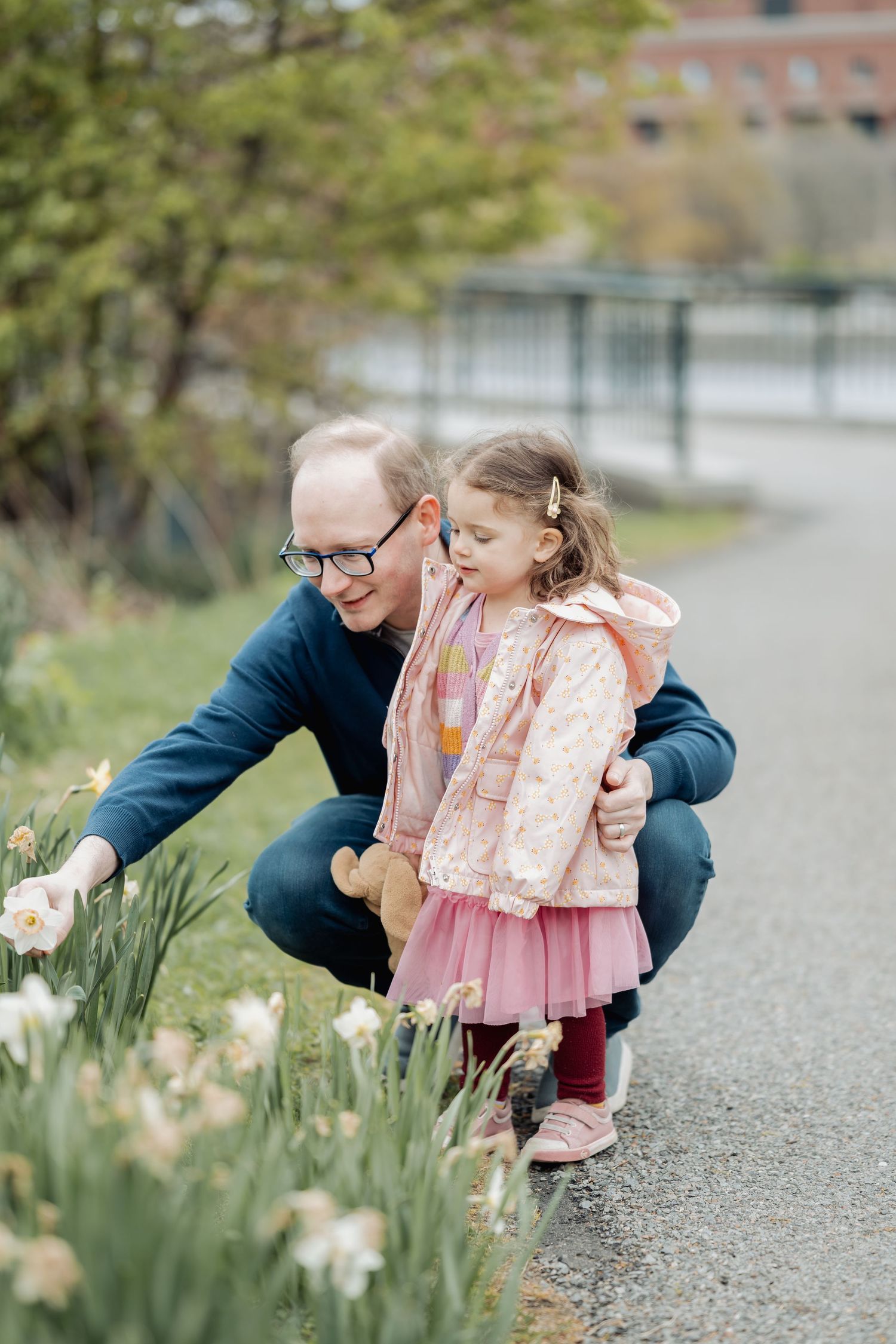 Father and young daughter examining spring daffodils together along a garden path on a cloudy day.