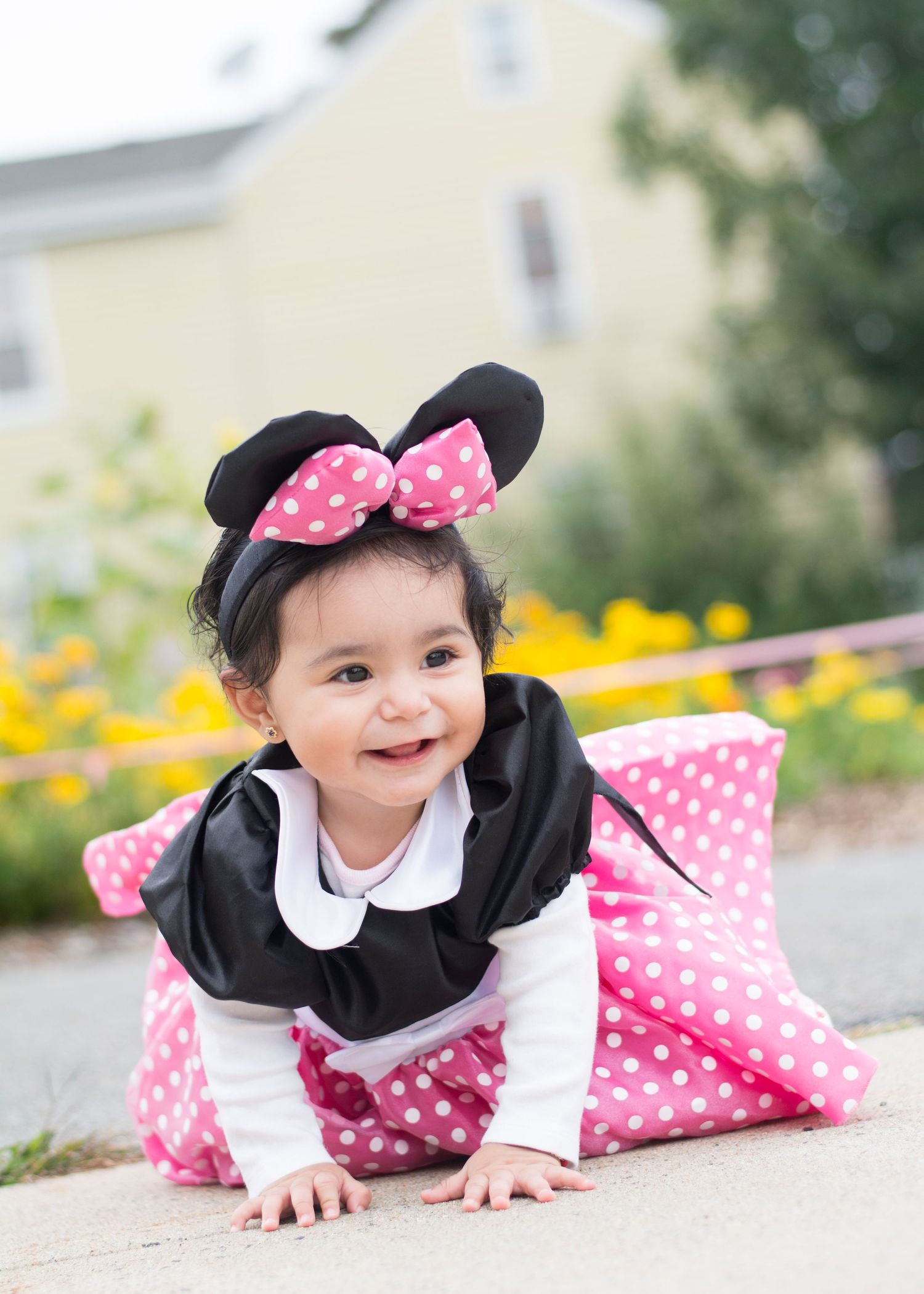 Baby in Minnie Mouse costume with polka dot bow crawls on sidewalk near yellow flowers.