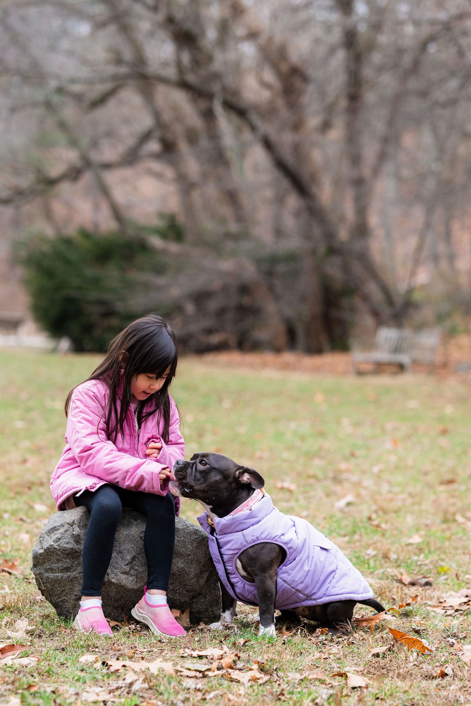 A young girl in a pink jacket sits on a rock, petting a black dog wearing a purple coat in an autumn park.