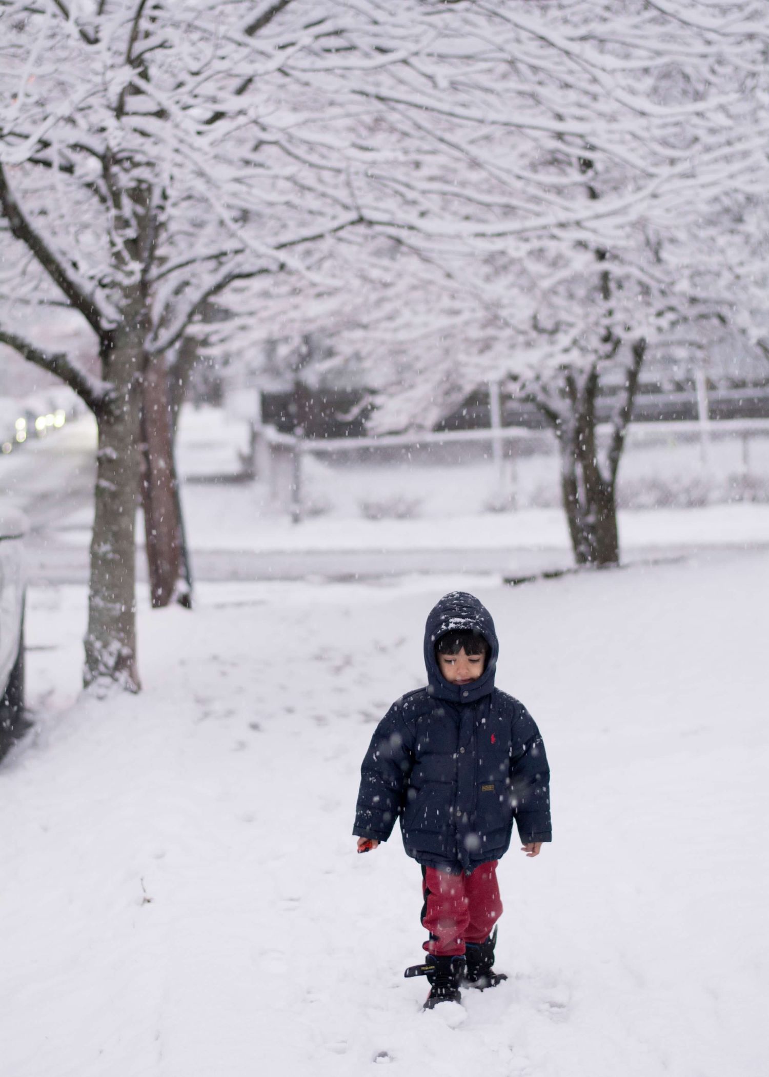 Child walking alone in snow covered winter landscape with snow-laden trees.