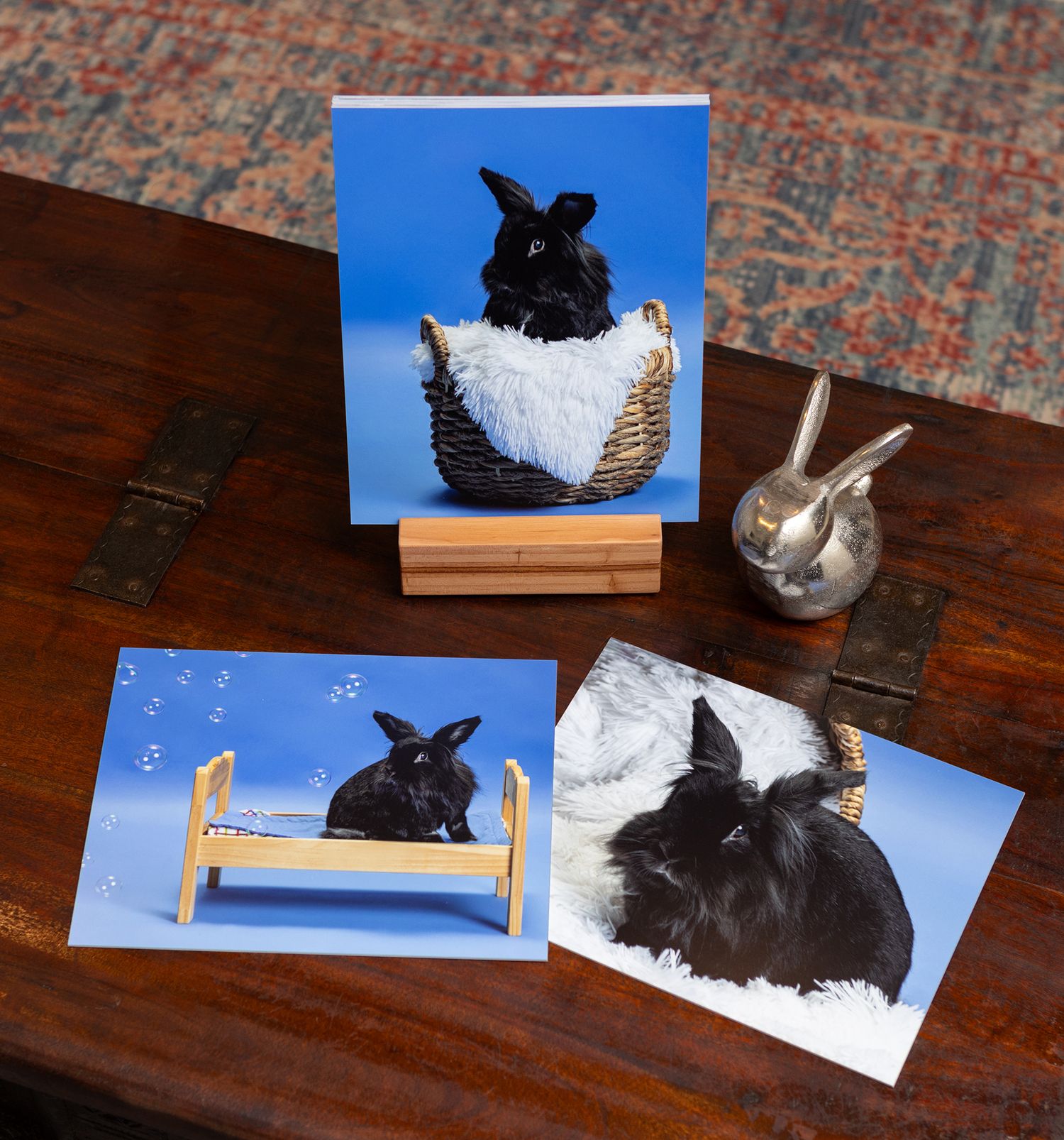 A series of photographs showing a black lionshead rabbit displayed on a wooden table.