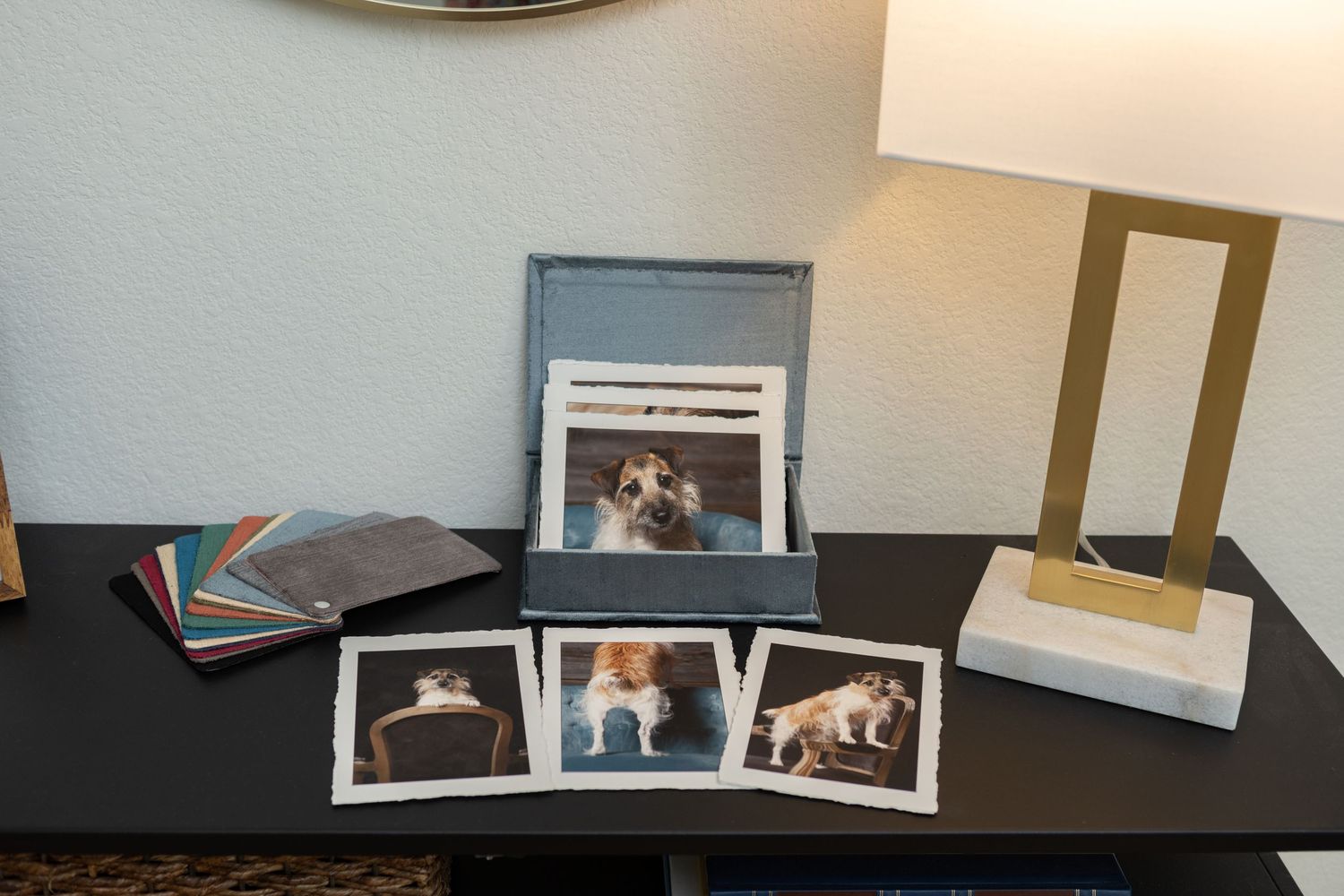 A portrait box containing images of a dog with a modern table lamp in the background.