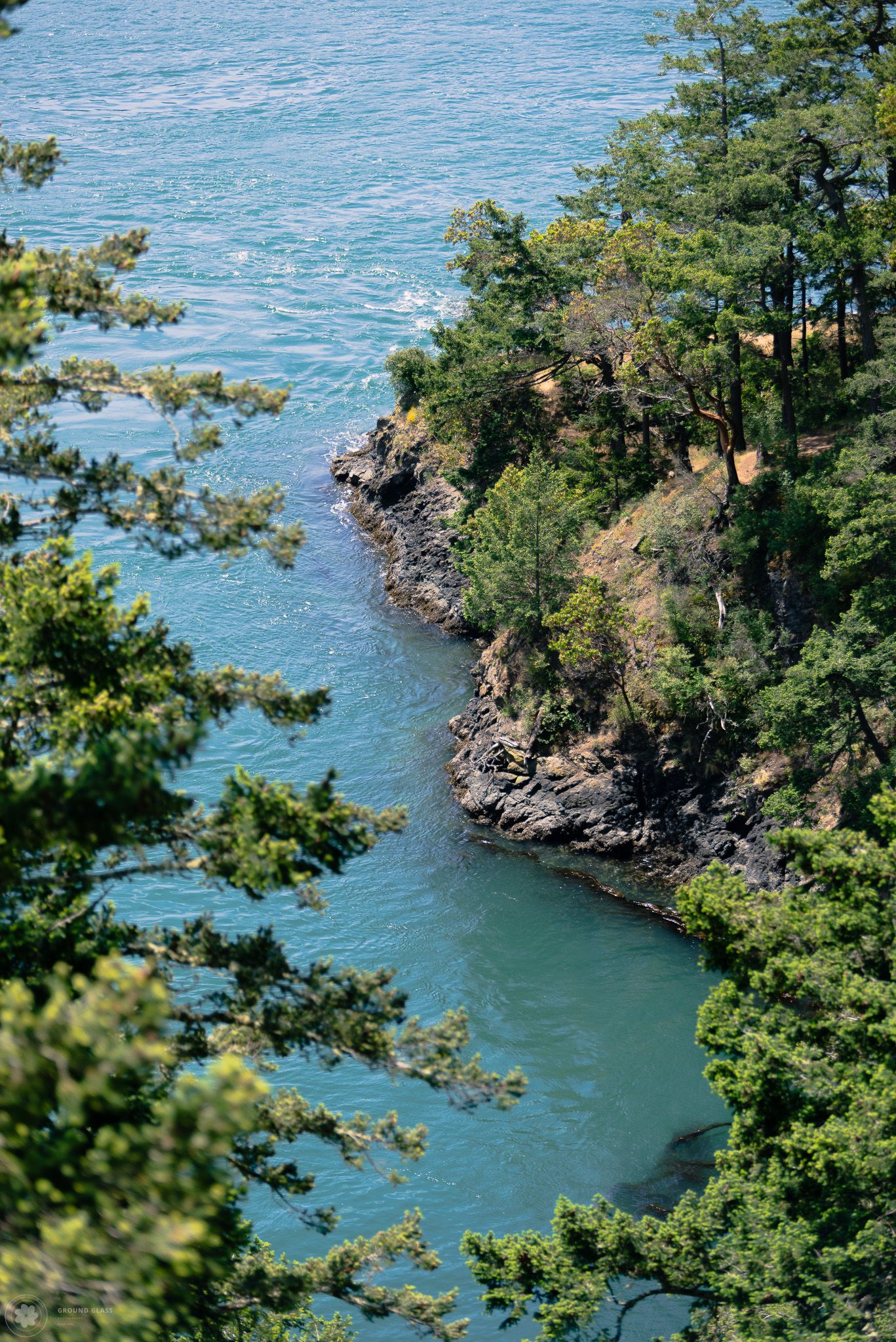 Fine art aerial photograph of a forested Pacific Northwest coastline — Ground Glass Photography, Kent WA