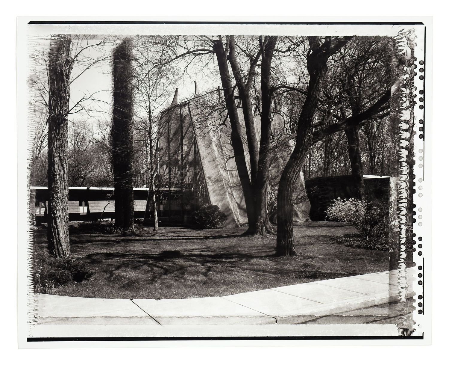 Black and white photo of trees and a building partially covered with tarps in a wooded yard.