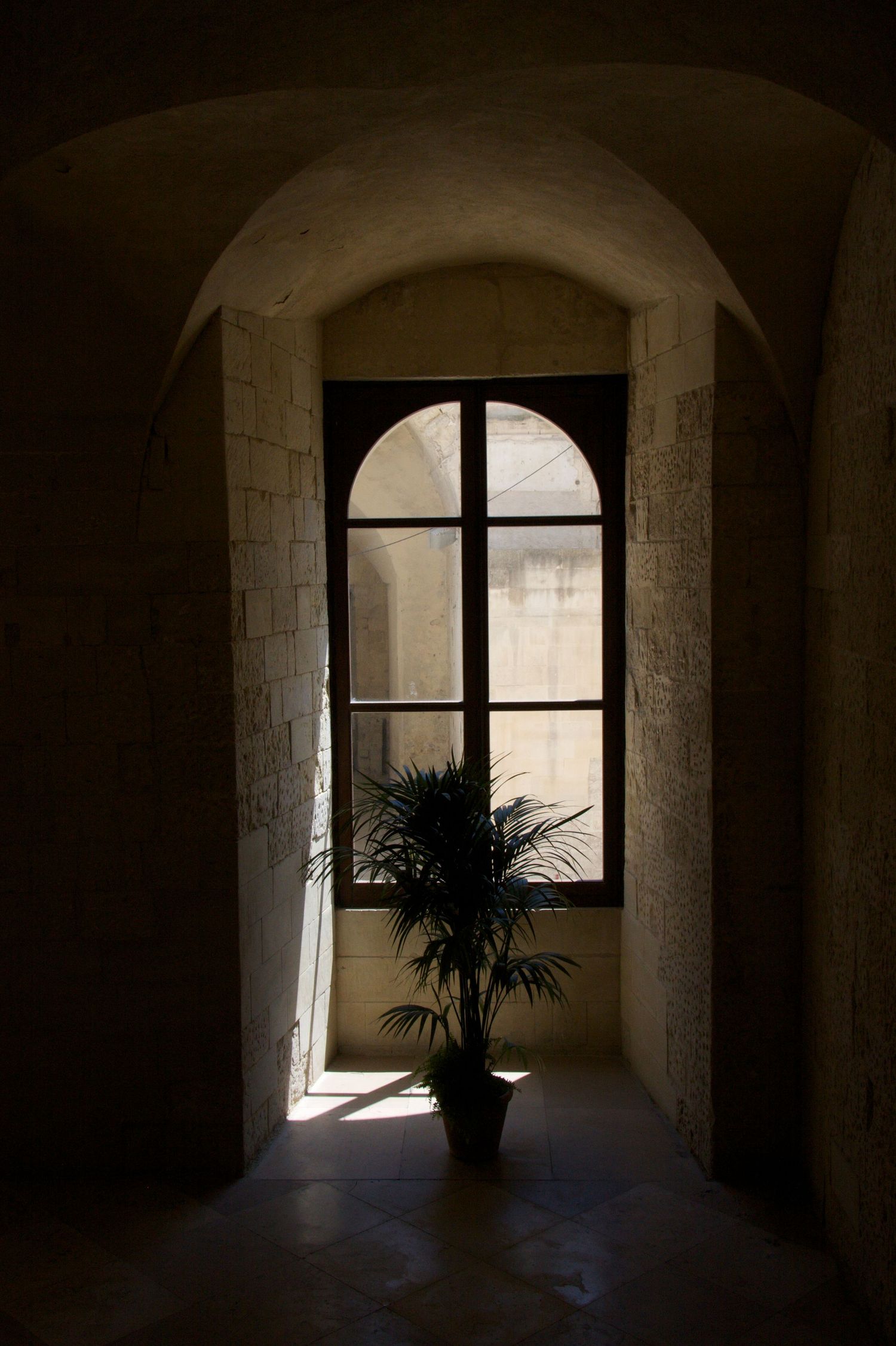 Dark stone corridor with arched ceiling leading to tall arched window with potted palm plant silhouetted in sunlight.