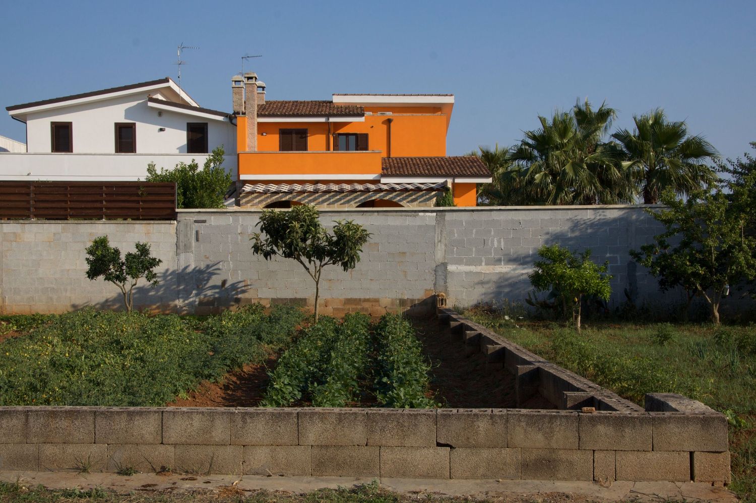 Bright orange suburban house behind concrete wall with small vegetable garden and palm trees in sunny landscape.