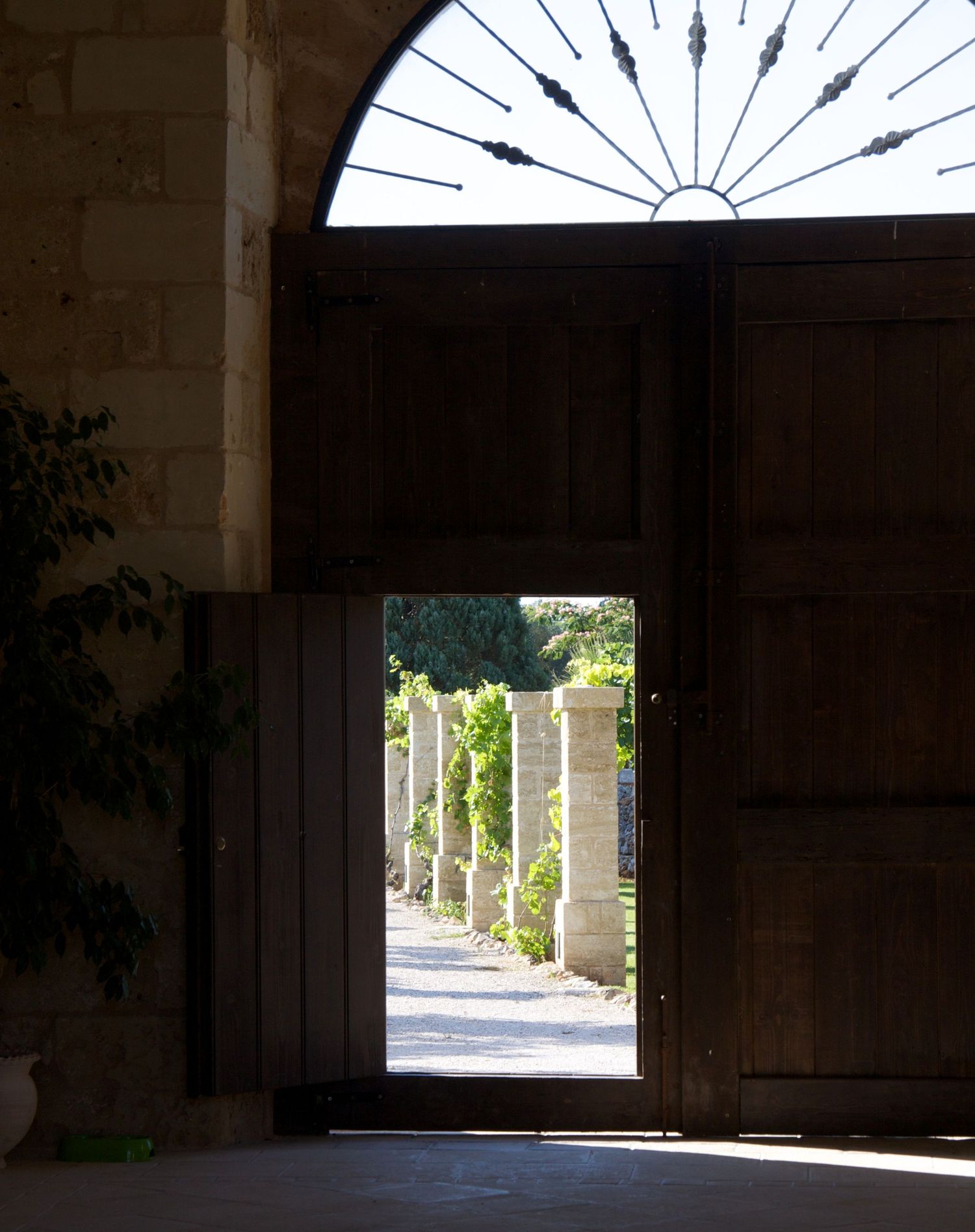 Sunlit wooden double doors with arched transom window opening to a tree-lined stone pathway.