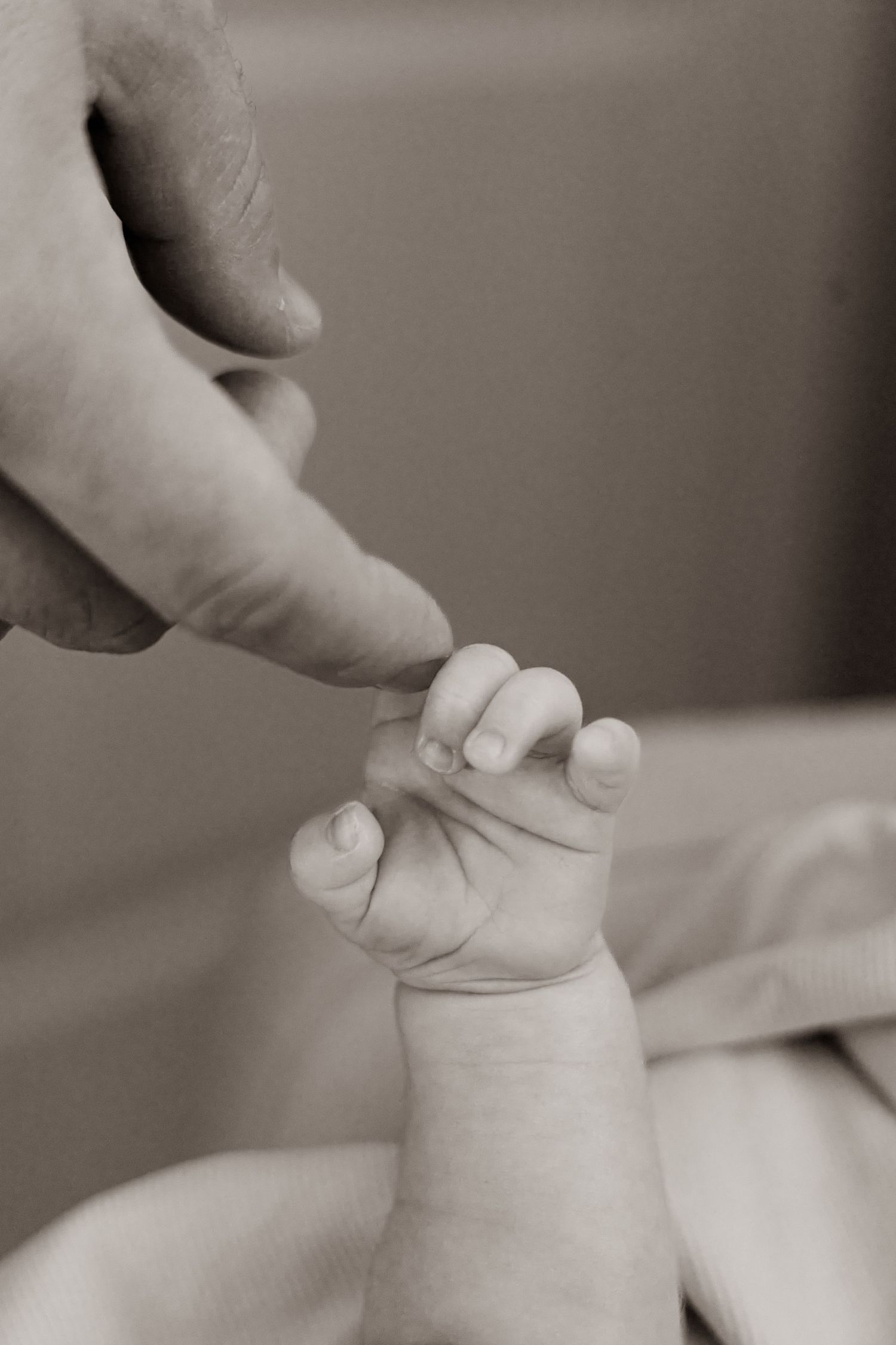Black and white close-up of a newborn baby's tiny hand gently gripping an adult's finger.