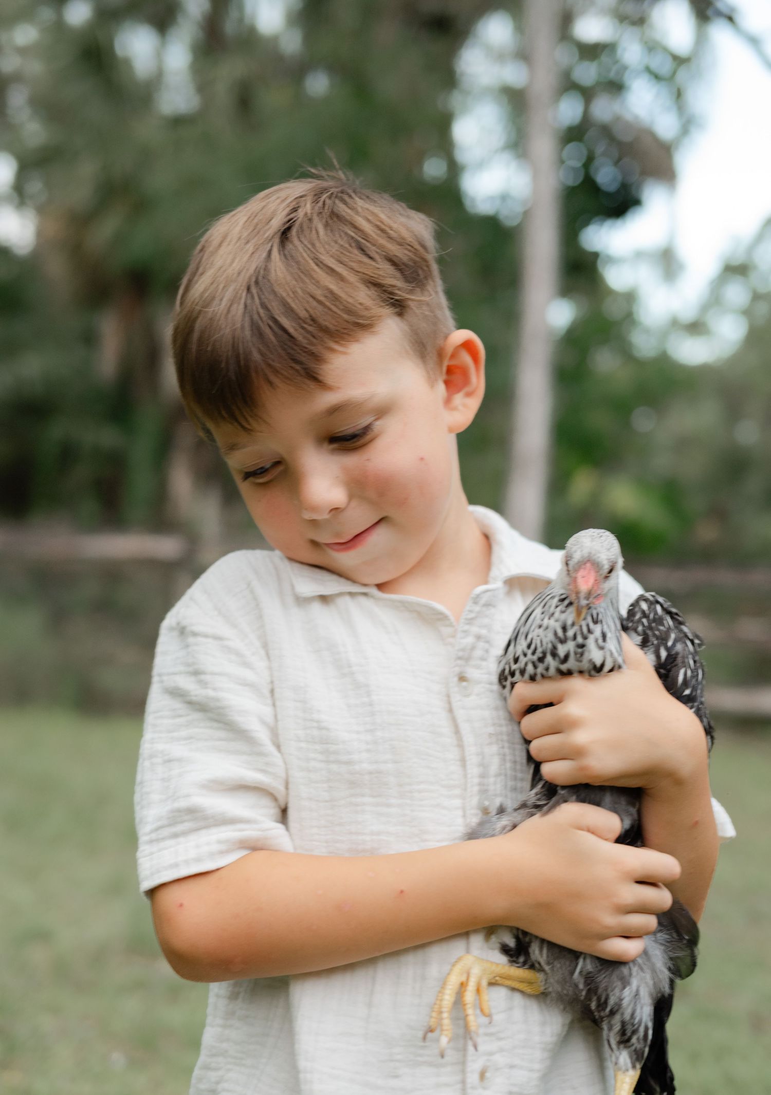 Young boy holding chickens during photos in West Palm Beach Florida.