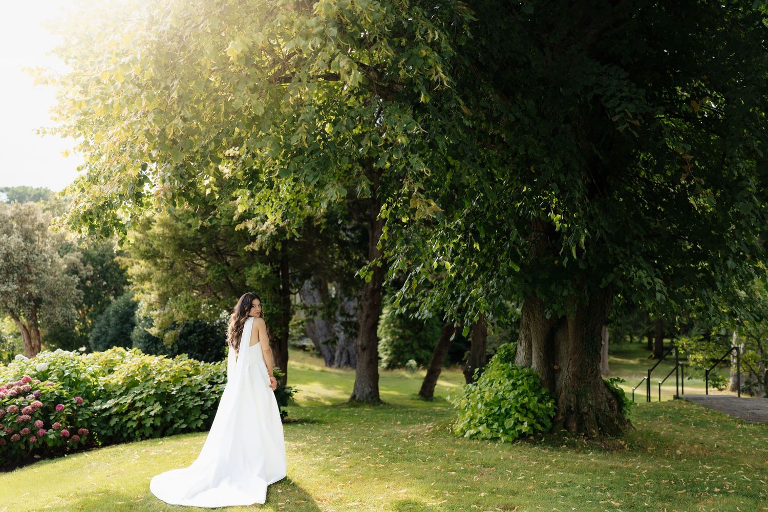 A wedding couple walking down a tree-lined path in a beautiful outdoor park setting.