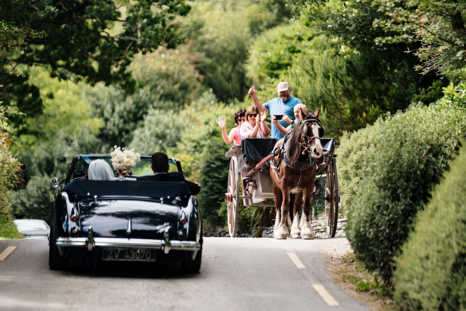 A black vintage car follows a horse-drawn carriage down a tree-lined path in a romantic wedding procession.