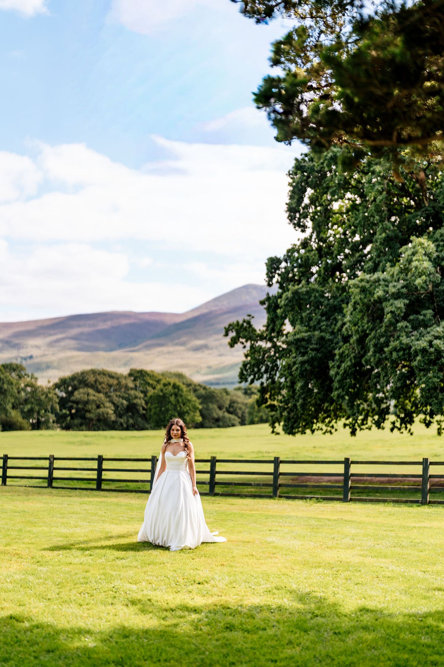 A grassy meadow stretches towards distant mountains with trees framing a pastoral wedding scene in bright sunlight.