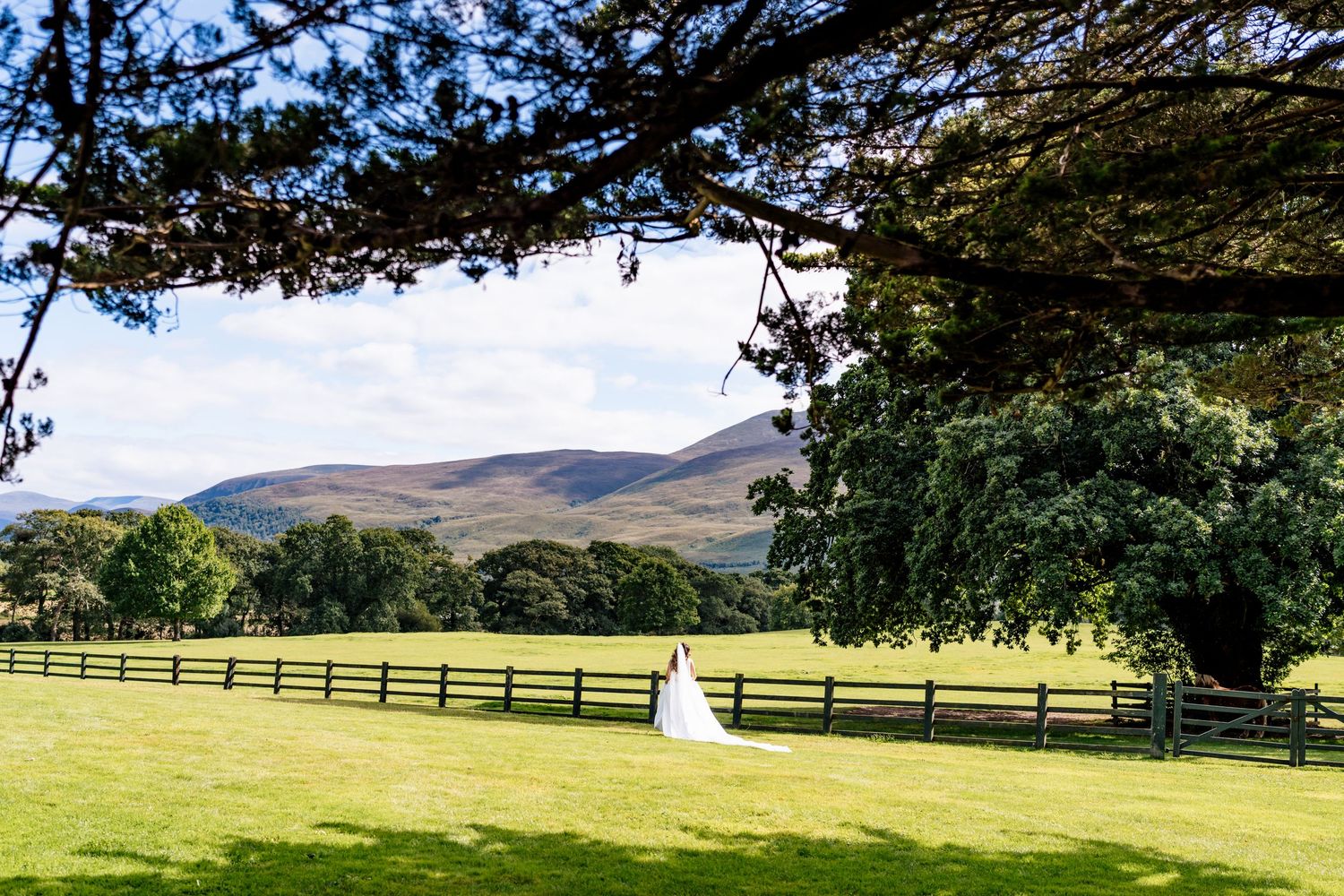 Rolling green hills and meadows stretch across a scenic rural landscape with wooden fences under a blue summer sky.