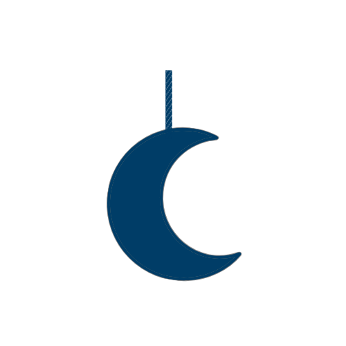 The hanging moon from Midnight Magic by Hannah Rose Photography's logo.