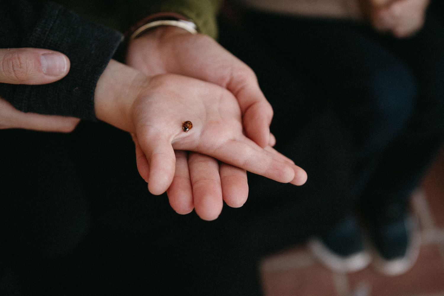 Georgia lifestyle photographer creating natural, intentional images inspired by connection, emotion, and everyday beauty.