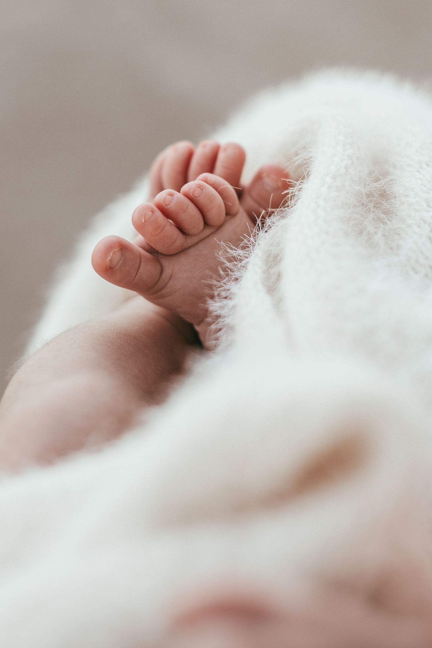FamilyPhotography44