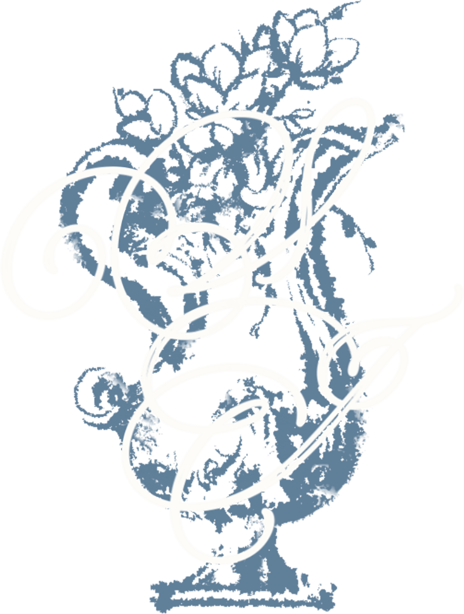 Logo of Veronique Jones, Montreal wedding photographer
