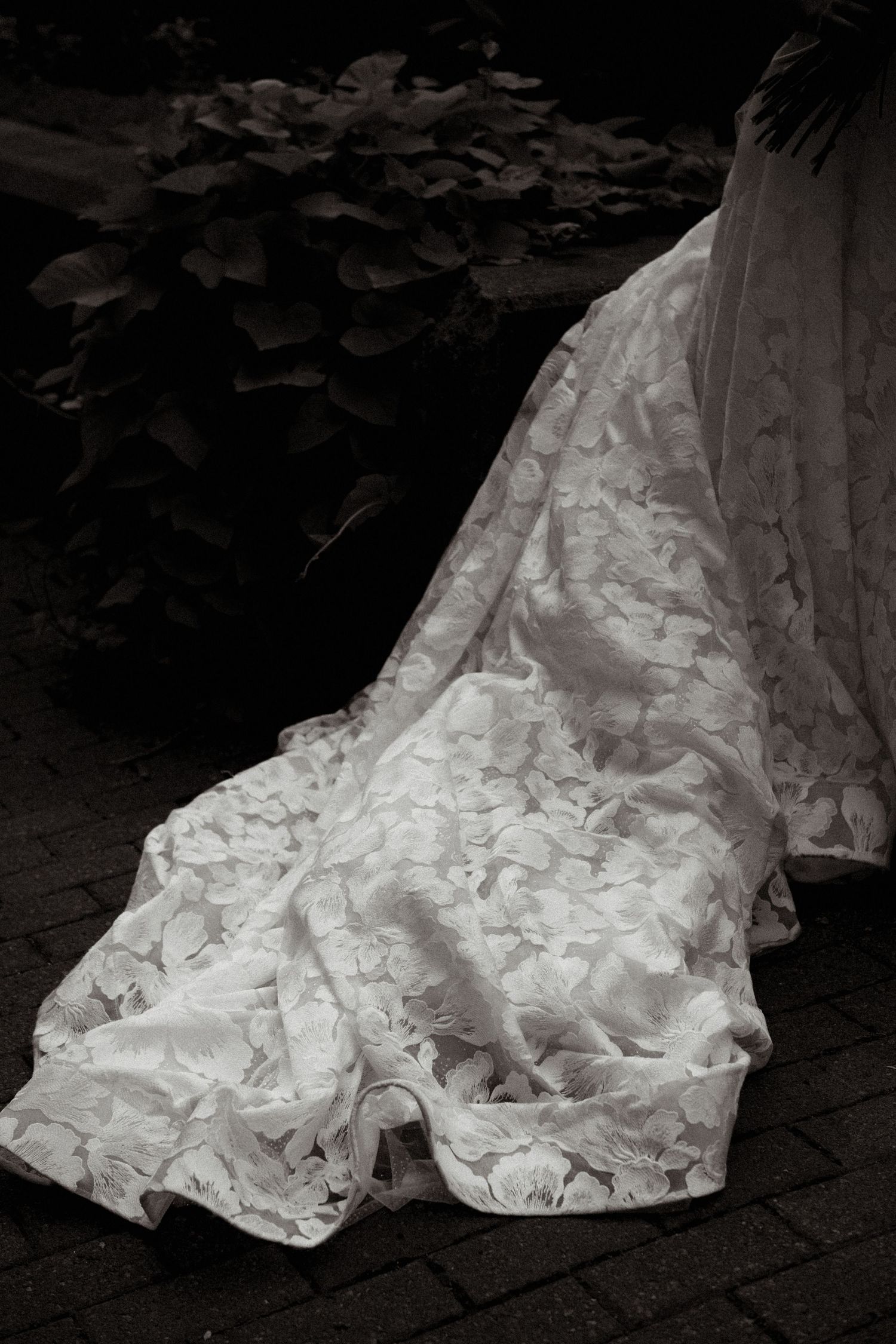 Artful B&W wedding image by Veronique Jones. A refined, timeless narrative capturing raw emotion and sophisticated editorial style.