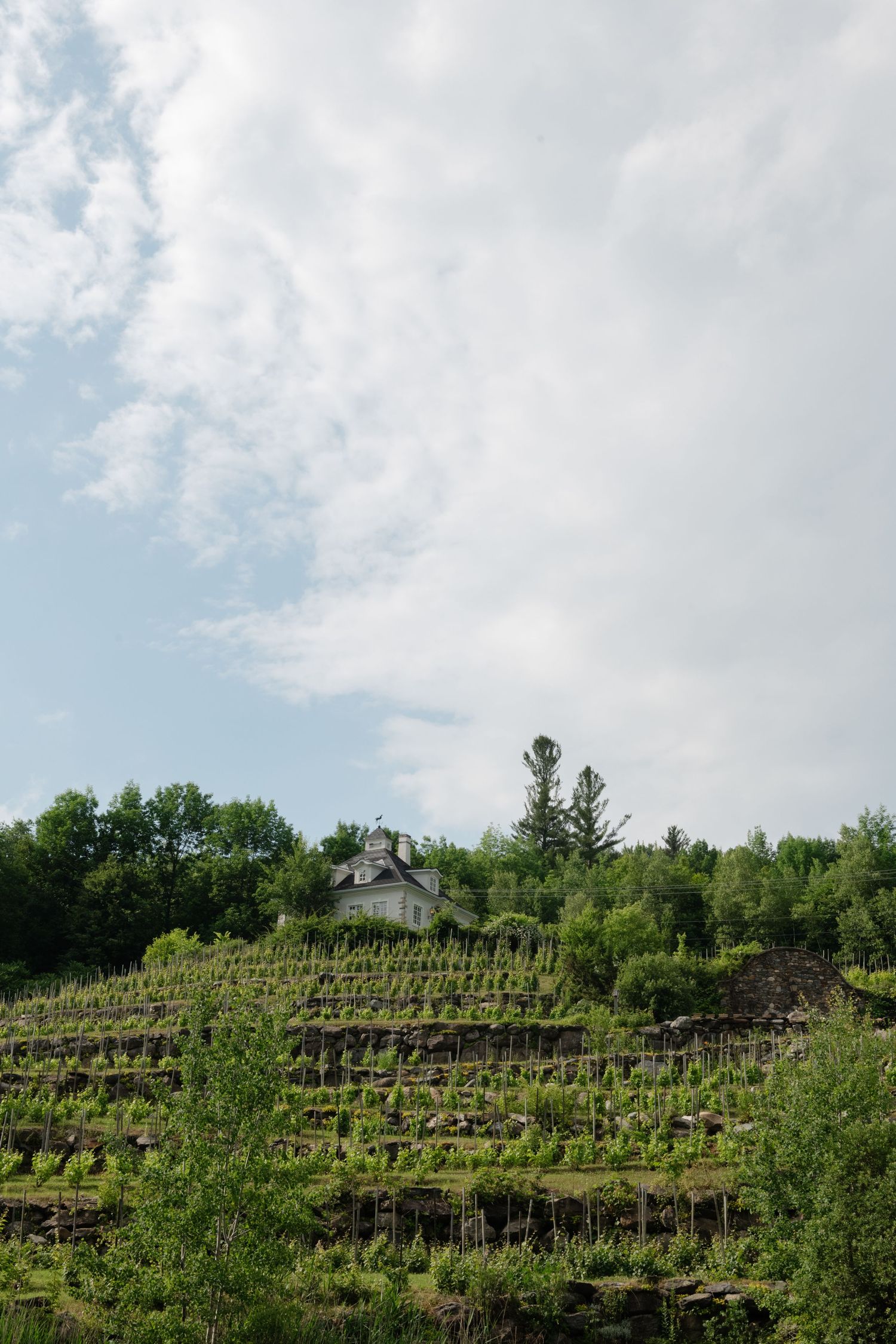 Scenery at Chateau St-Anges captured with refined elegance by Veronique Jones. A bespoke blend of documentary and editorial style.