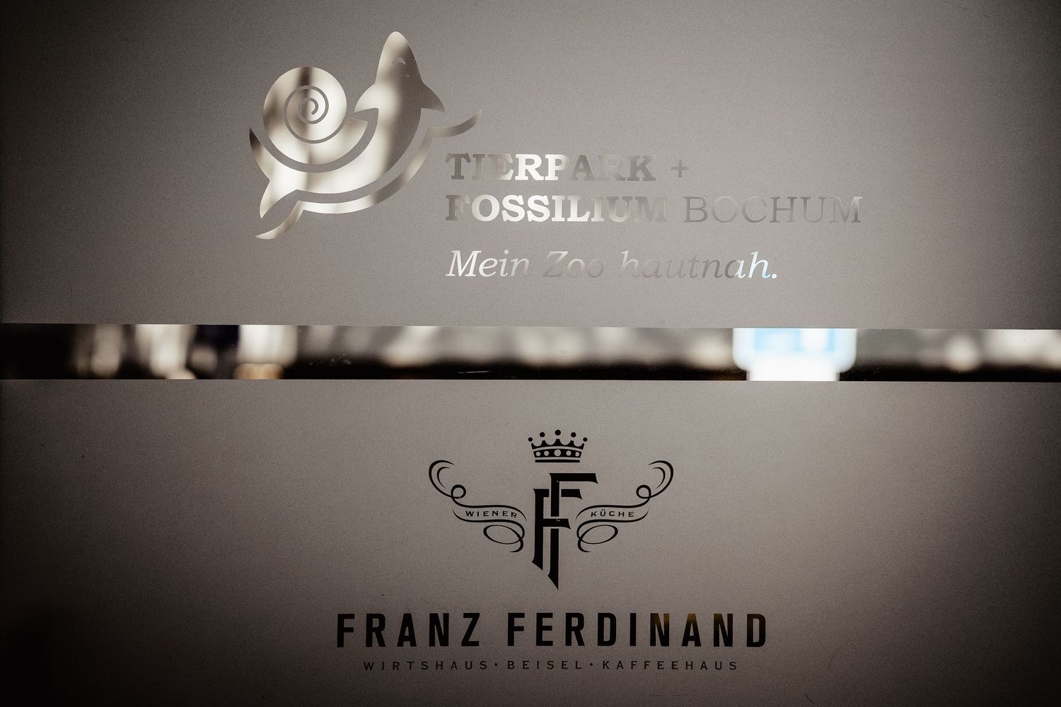 Elegant Franz Ferdinand restaurant logo on a reflective surface with a floral emblem above.
