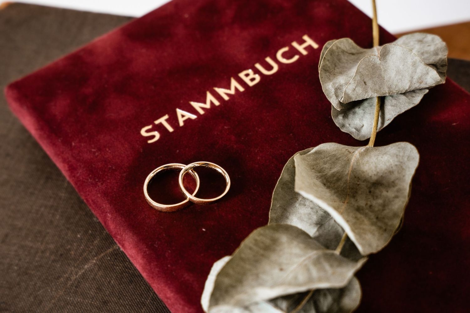 Two gold wedding rings on a red velvet Stammbuch book with dried eucalyptus leaves, elegant marriage keepsake.