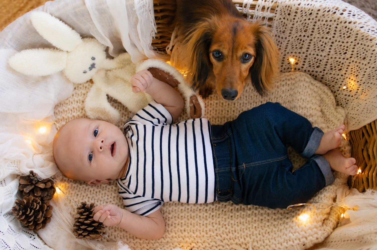 Baby in striped shirt lying in basket with dachshund dog, stuffed bunny, pine cones, and warm fairy lights.